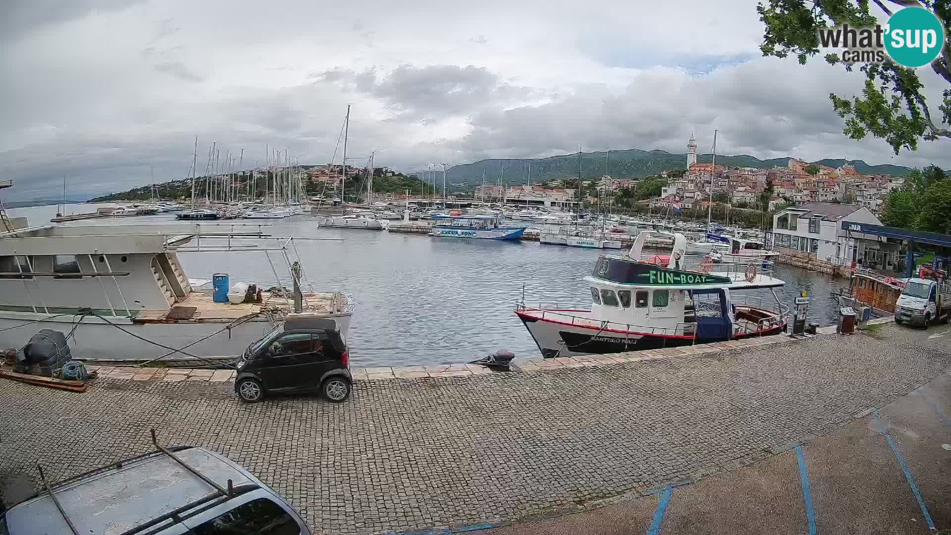 Webcam live – Novi Vinodolski harbour