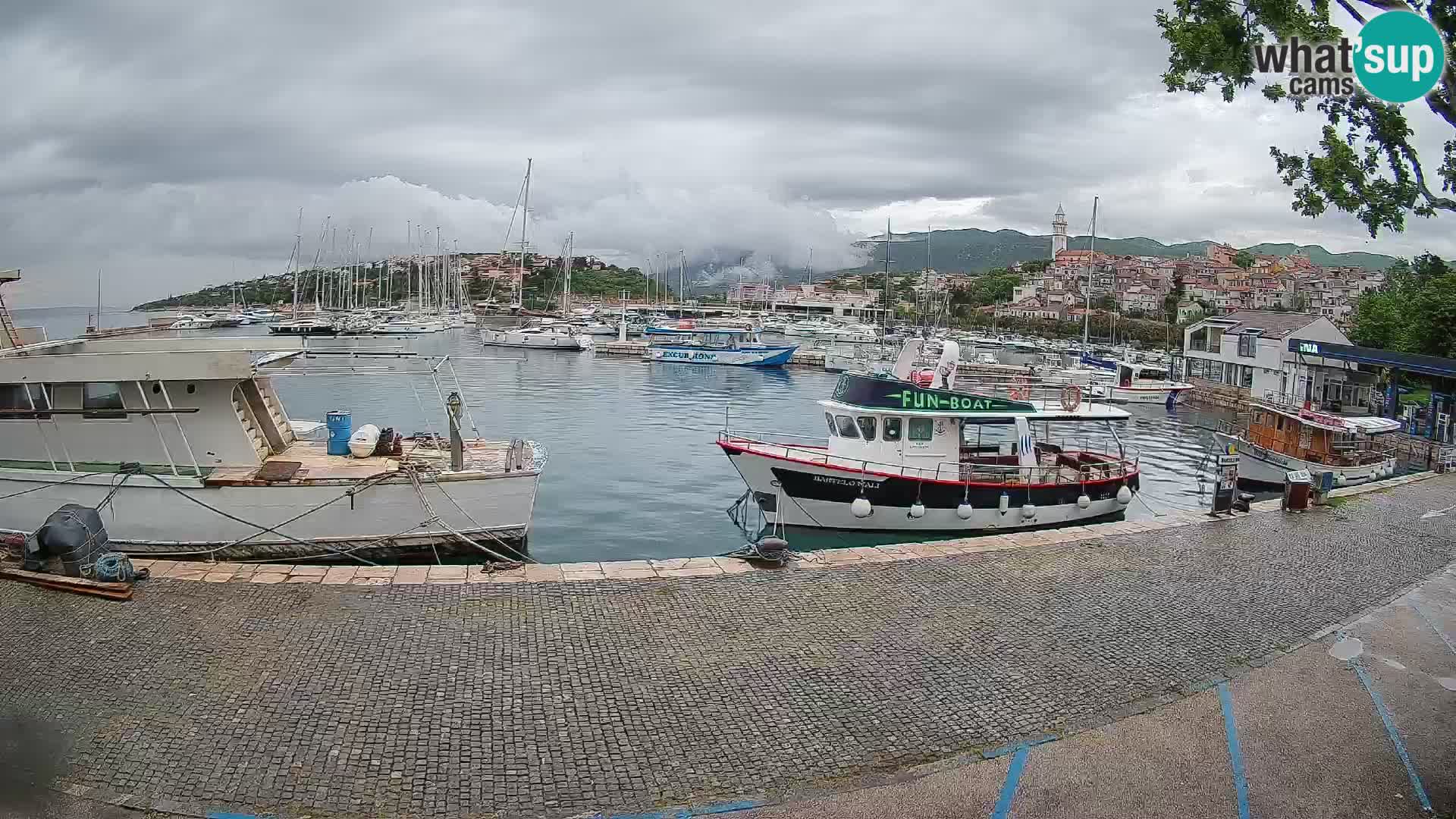 Webcam – Novi Vinodolski port