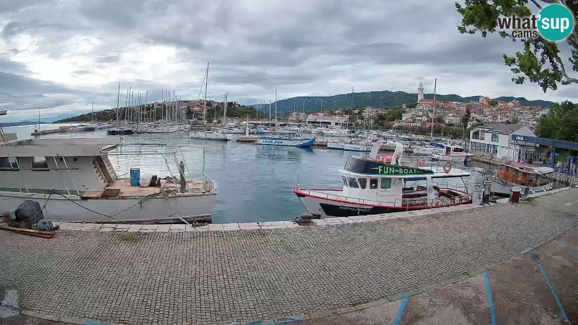 Webcam – Novi Vinodolski port