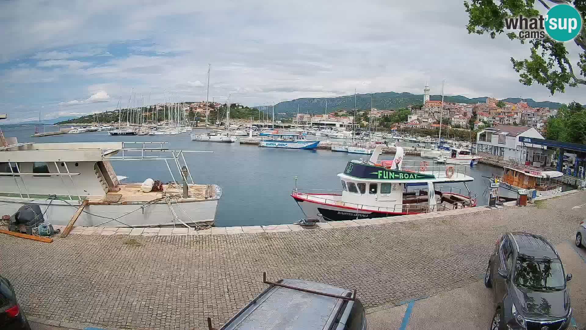 Webcam live – Novi Vinodolski harbour