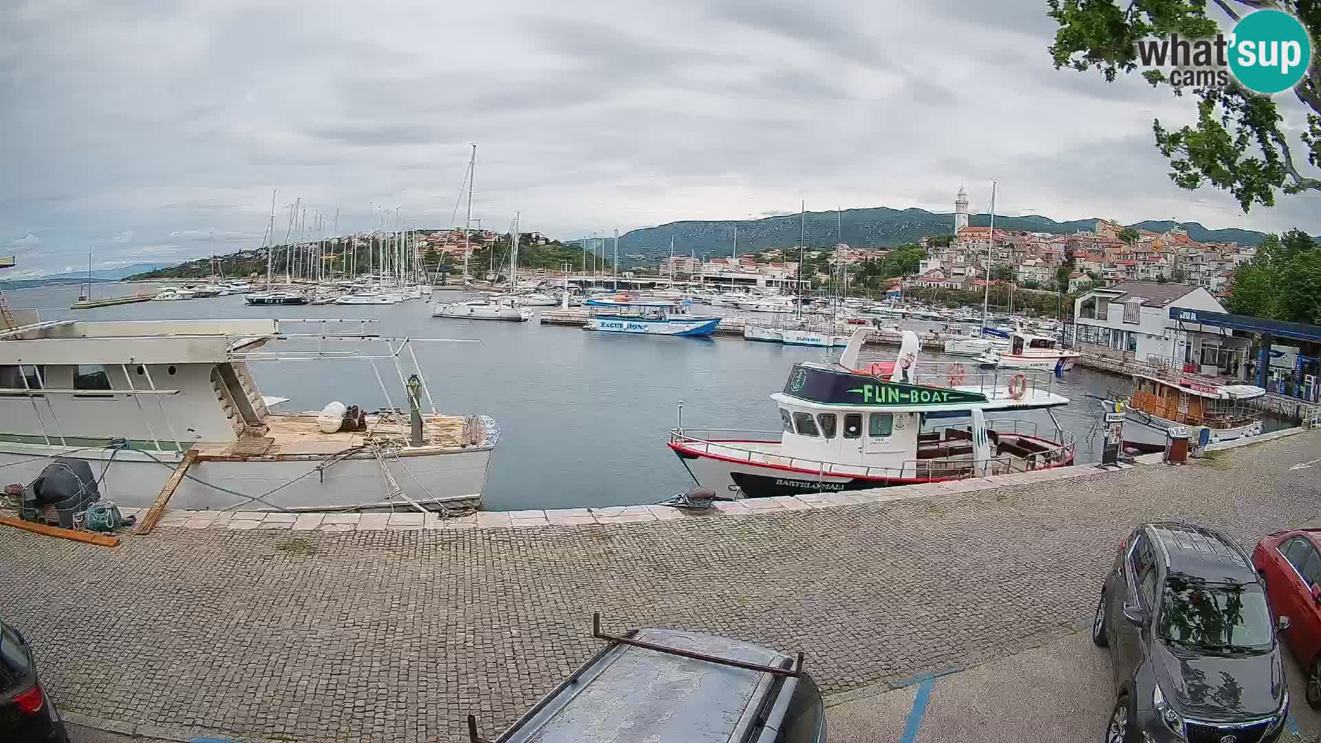 Webcam live – Novi Vinodolski harbour
