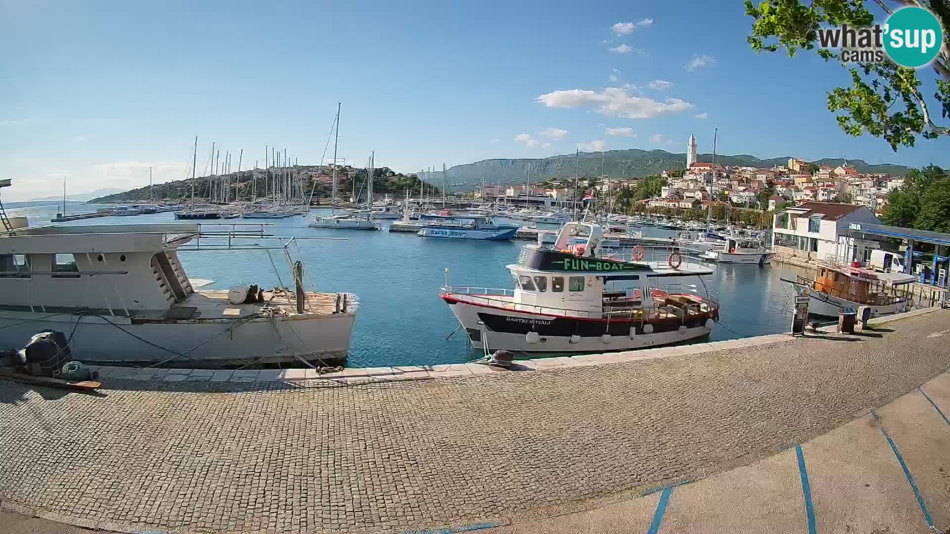 Webcam live – Novi Vinodolski harbour