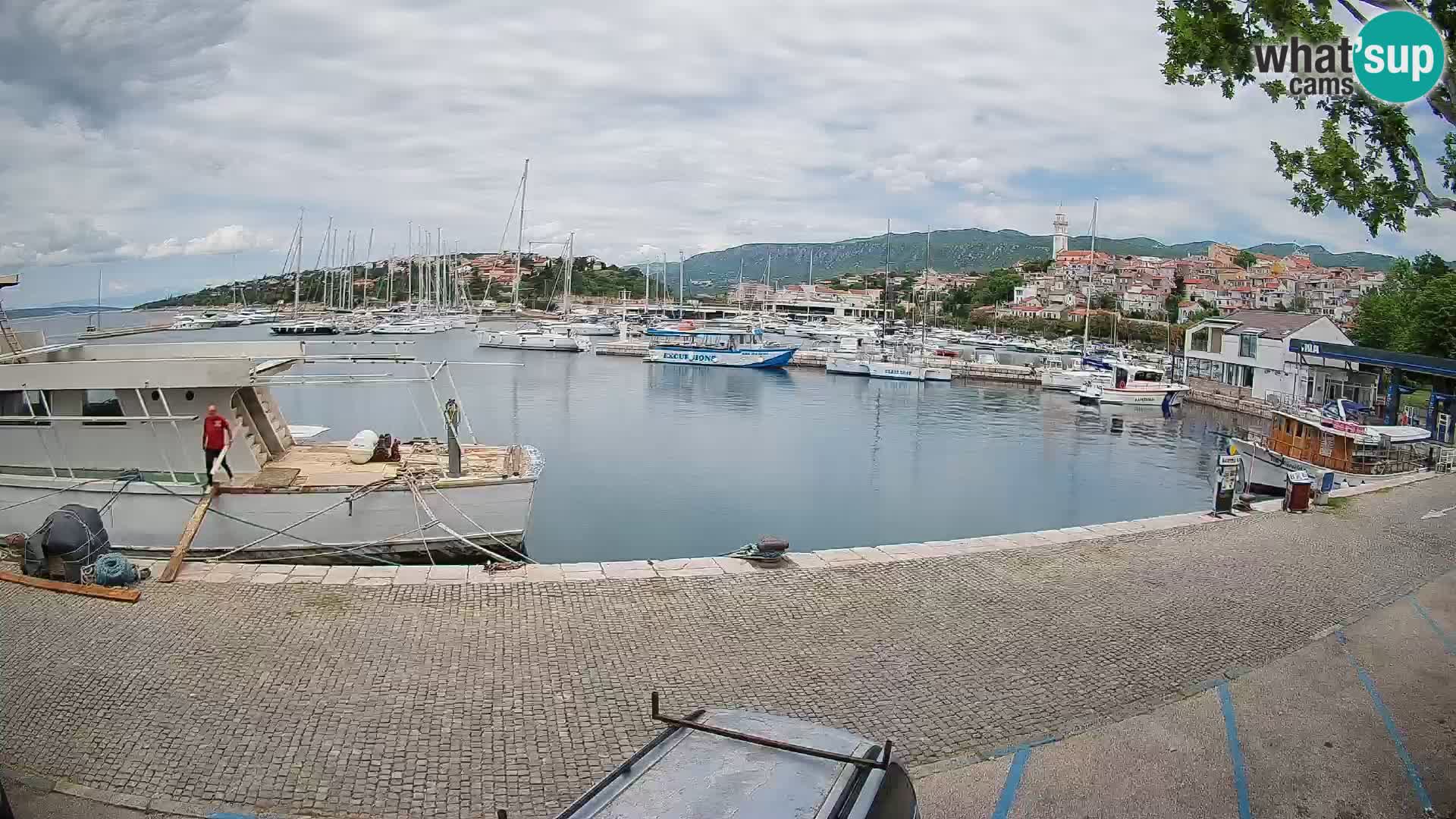 Webcam live – Novi Vinodolski harbour