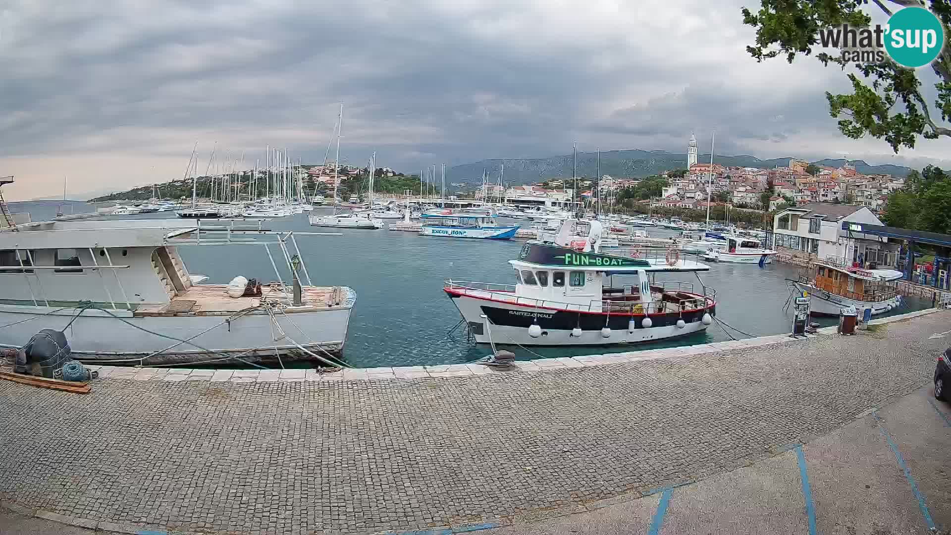 Webcam live – Novi Vinodolski harbour