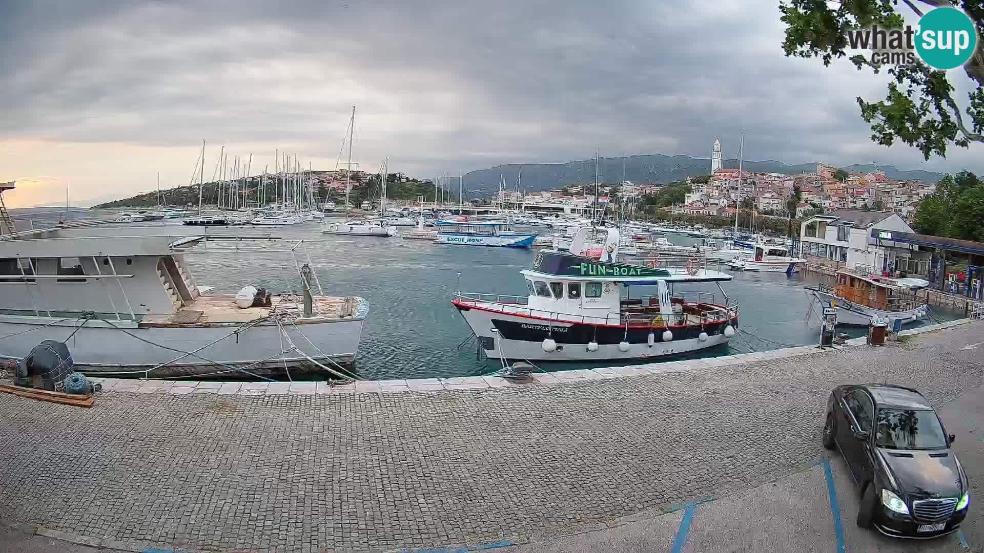 Webcam live – Novi Vinodolski harbour
