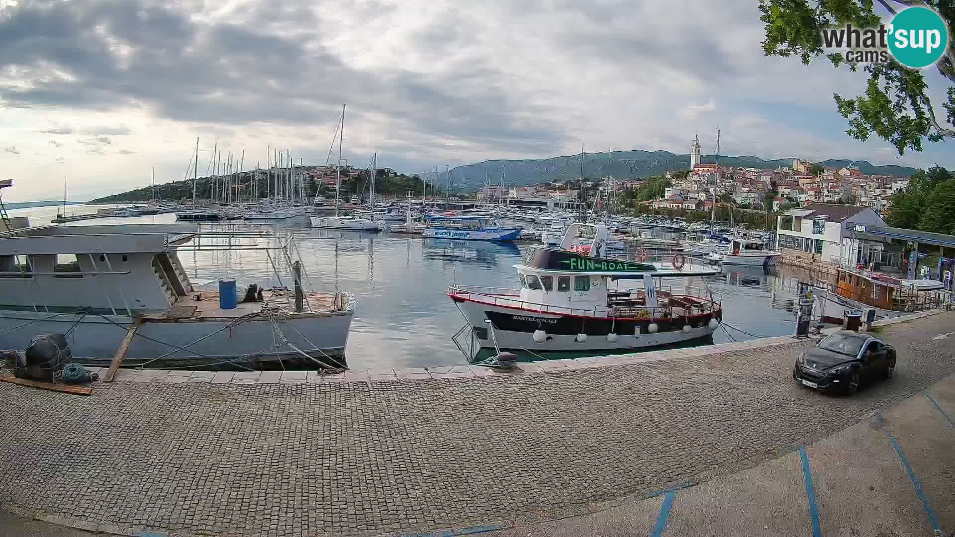 Webcam live – Novi Vinodolski harbour