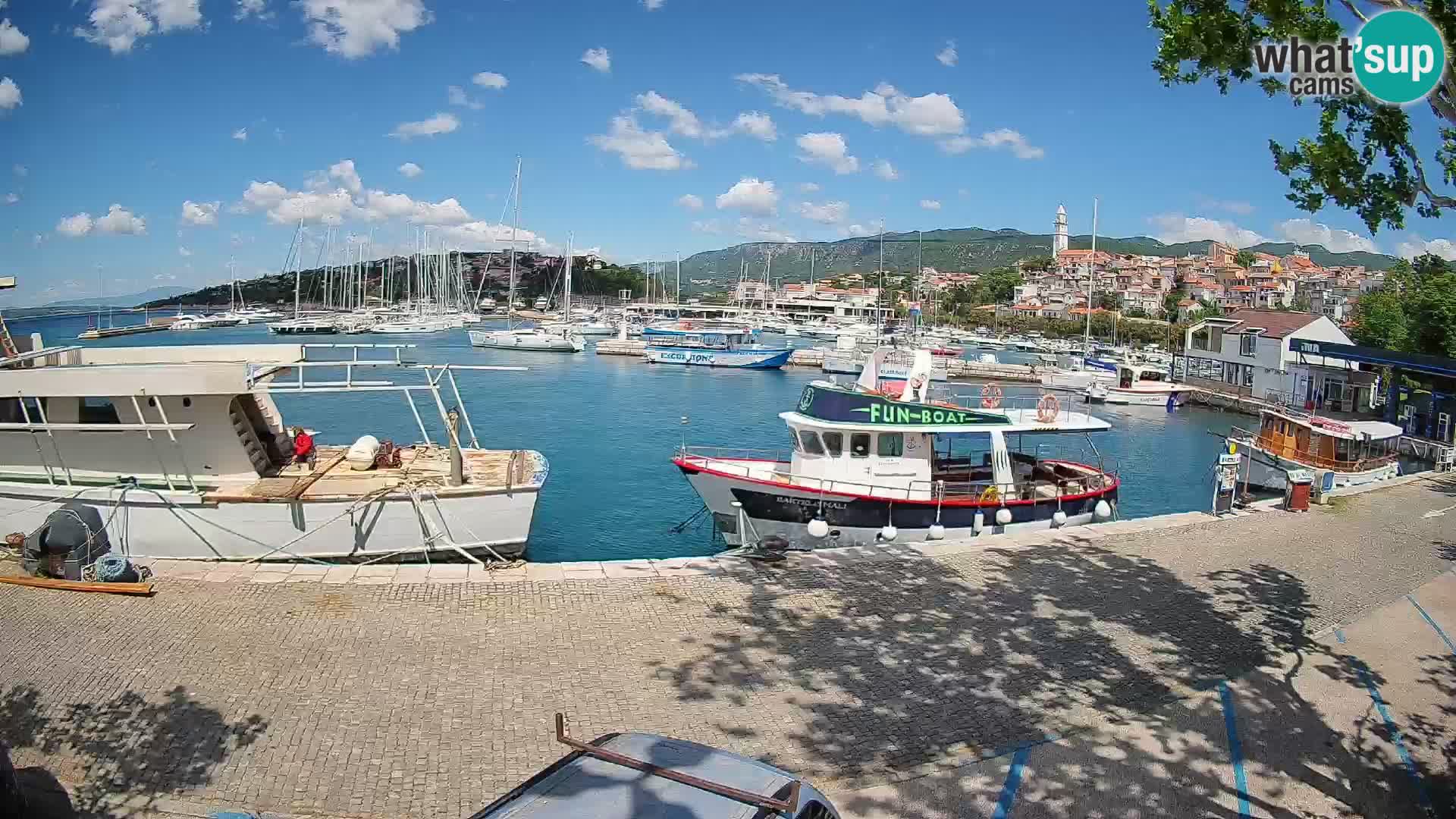 Webcam live – Novi Vinodolski harbour