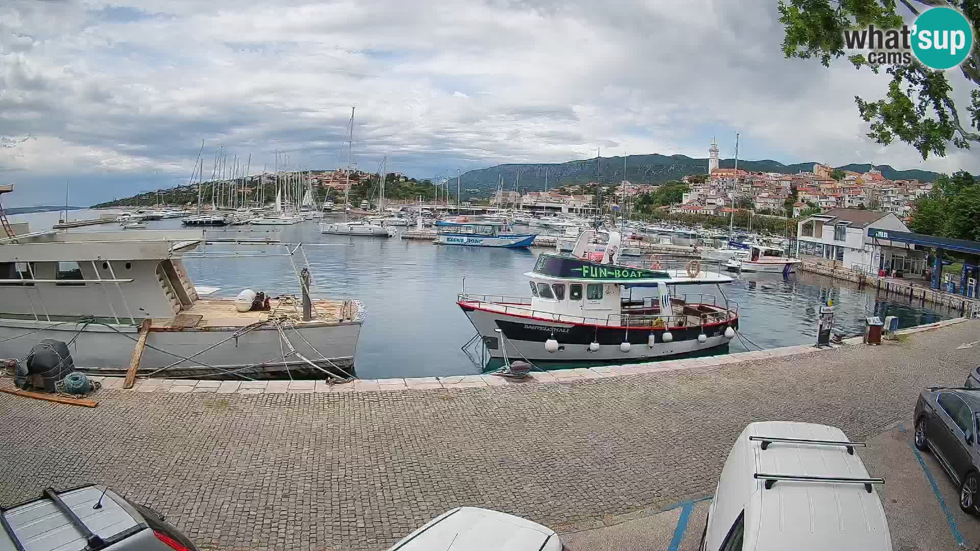 Webcam live – Novi Vinodolski harbour