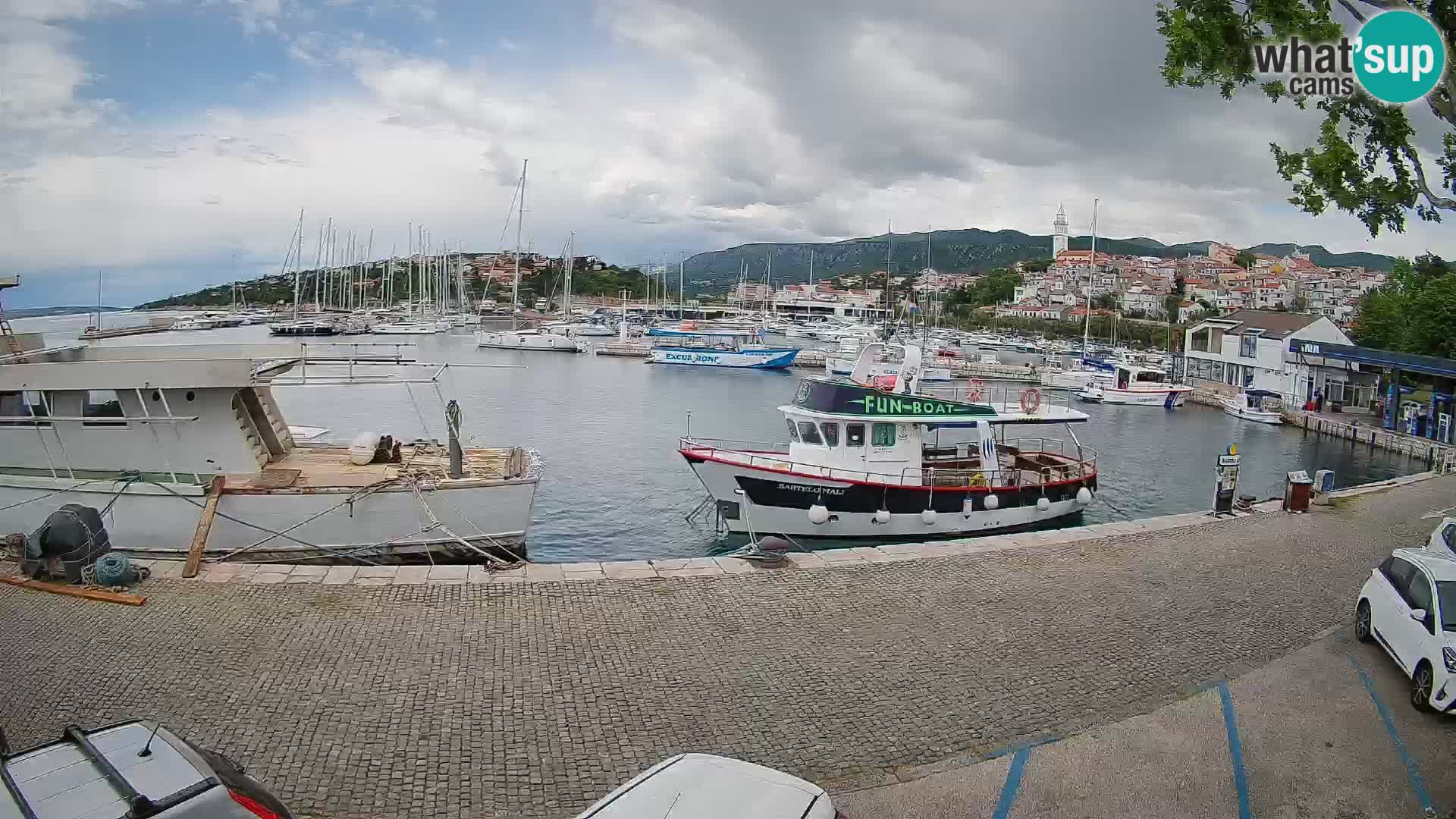 Webcam live – Novi Vinodolski harbour