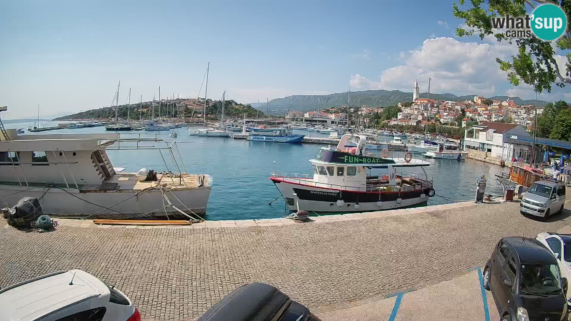 Webcam live – Novi Vinodolski harbour
