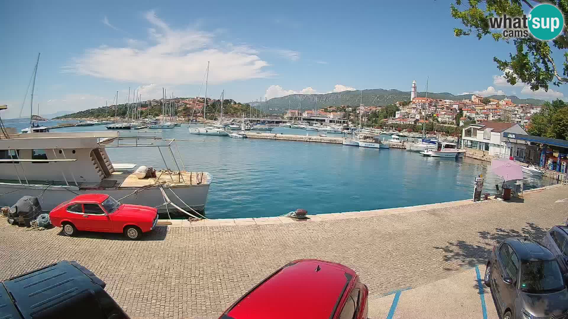 Webcam live – Novi Vinodolski harbour