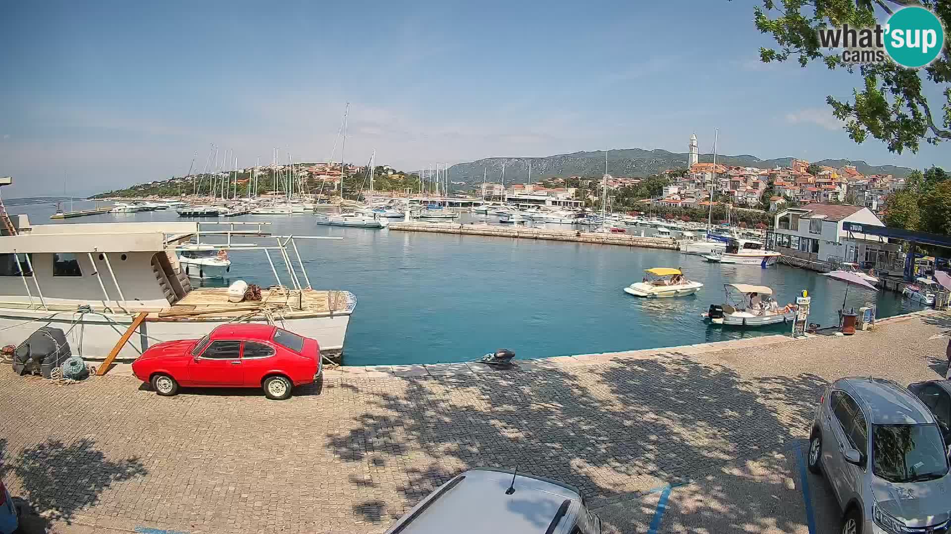 Webcam live – Novi Vinodolski harbour