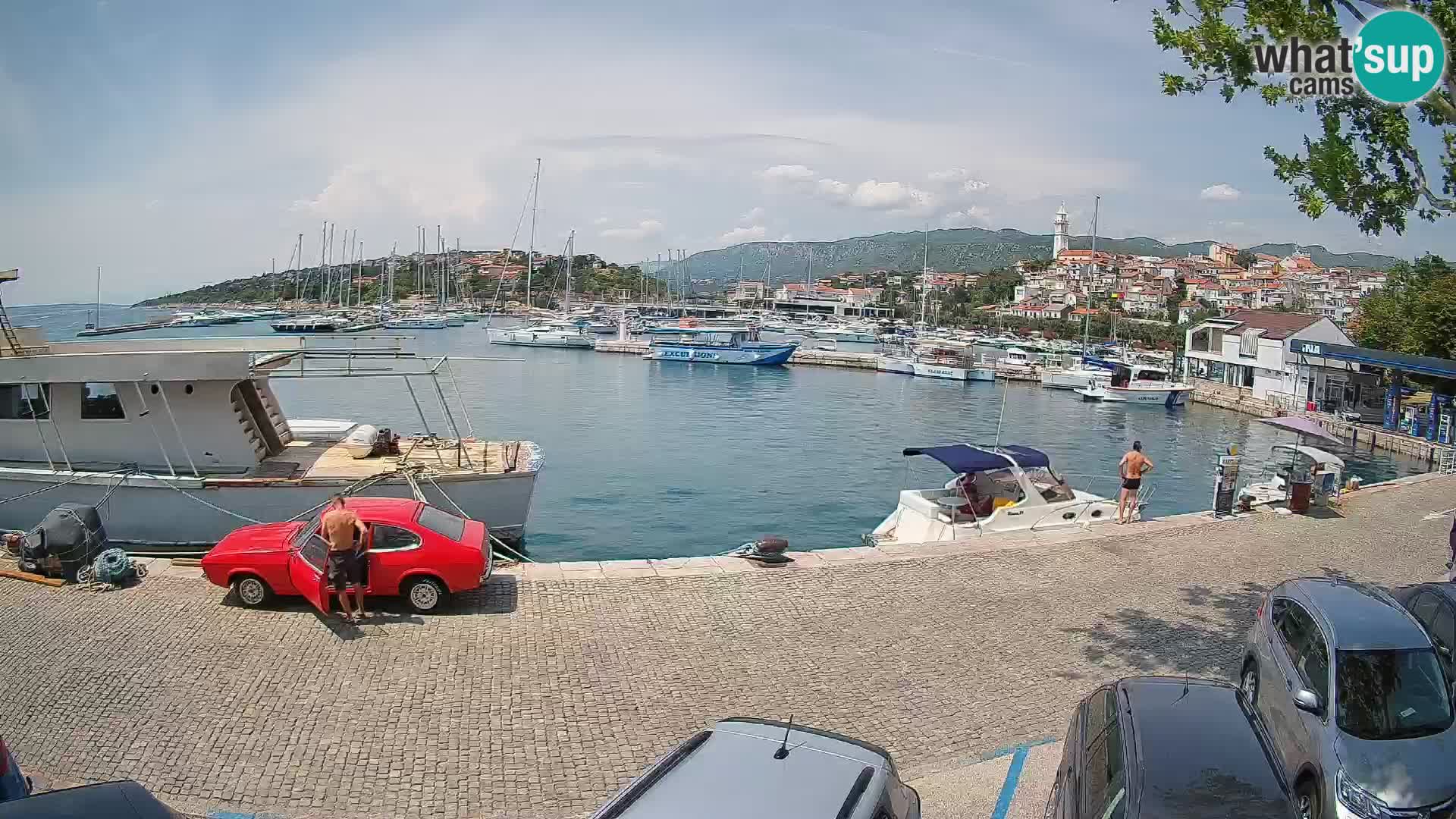 Webcam live – Novi Vinodolski harbour