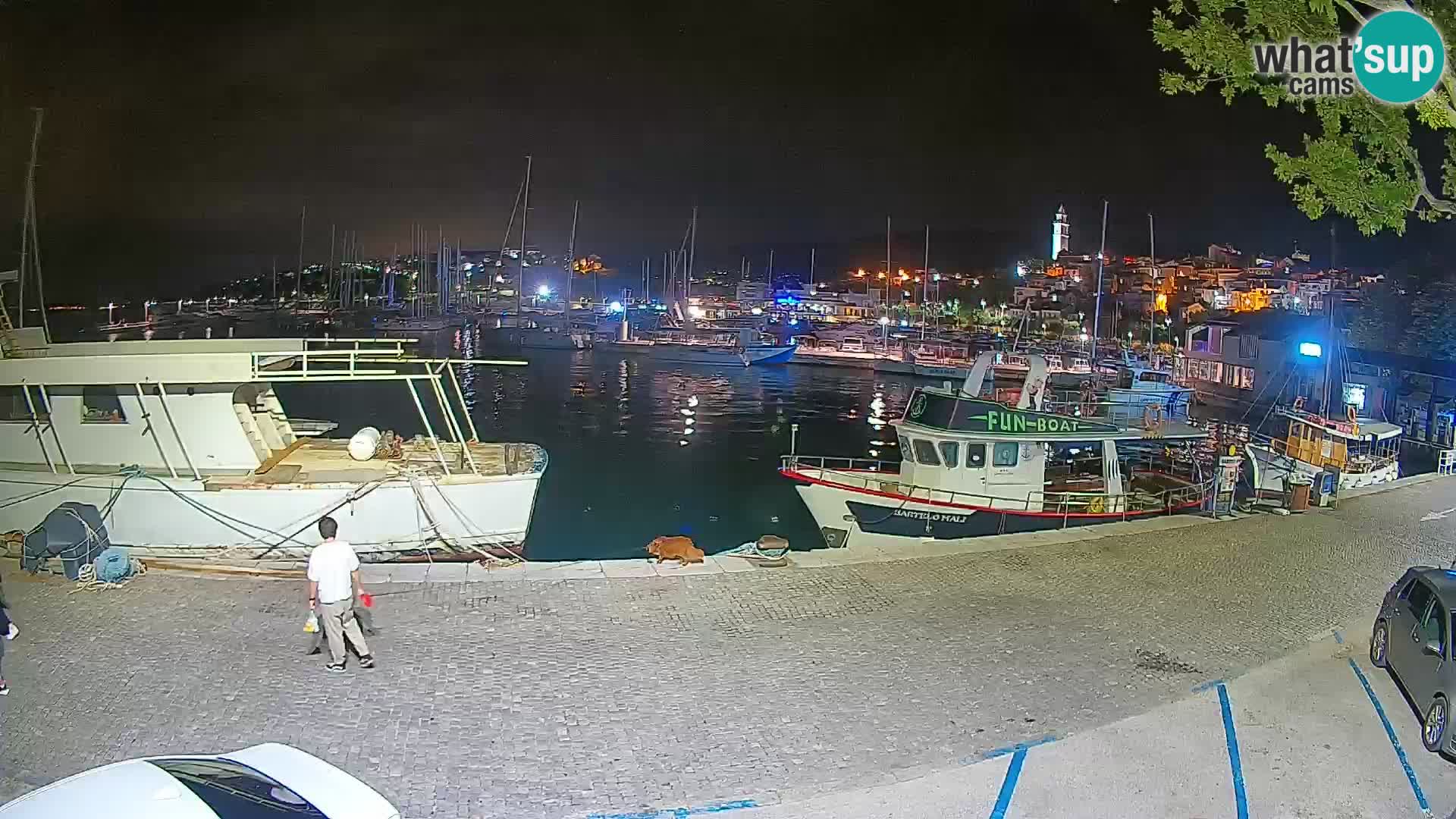 Webcam live – Novi Vinodolski harbour