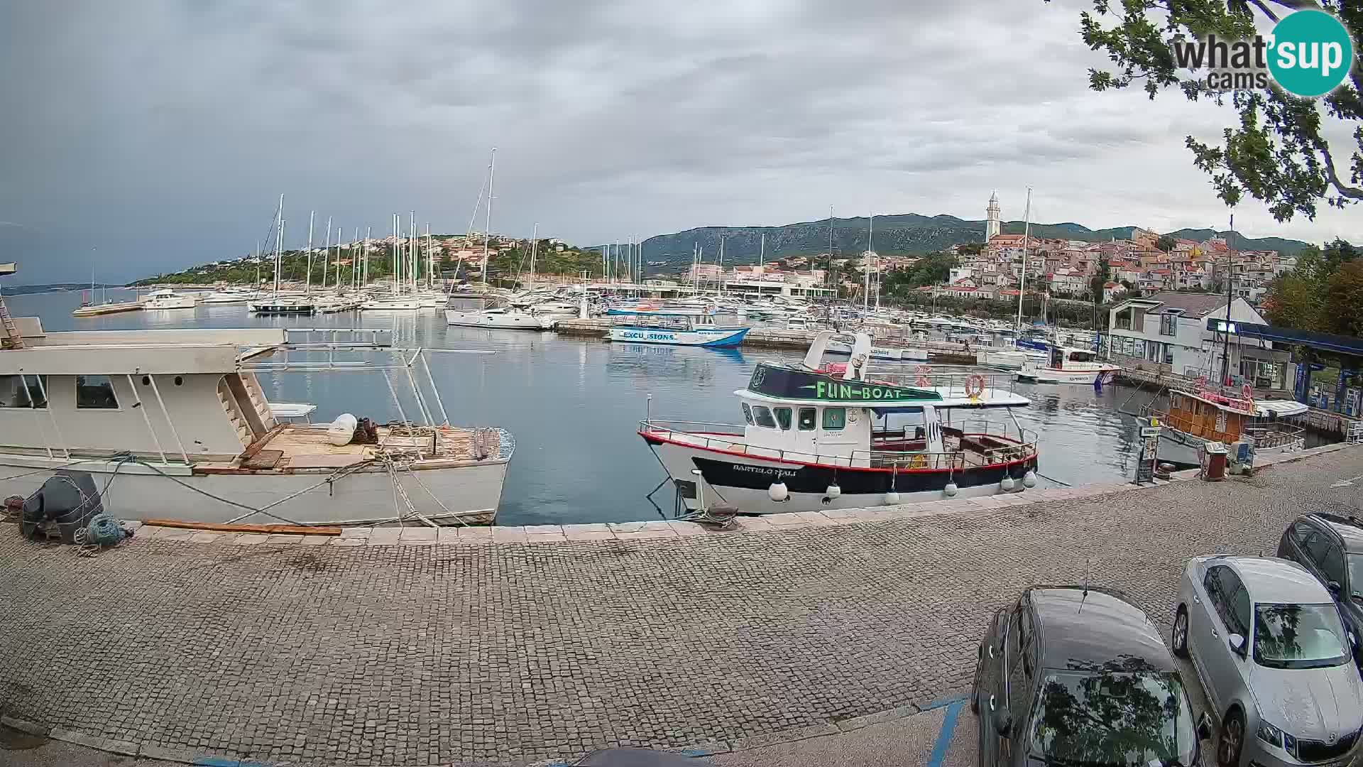 Webcam live – Novi Vinodolski harbour