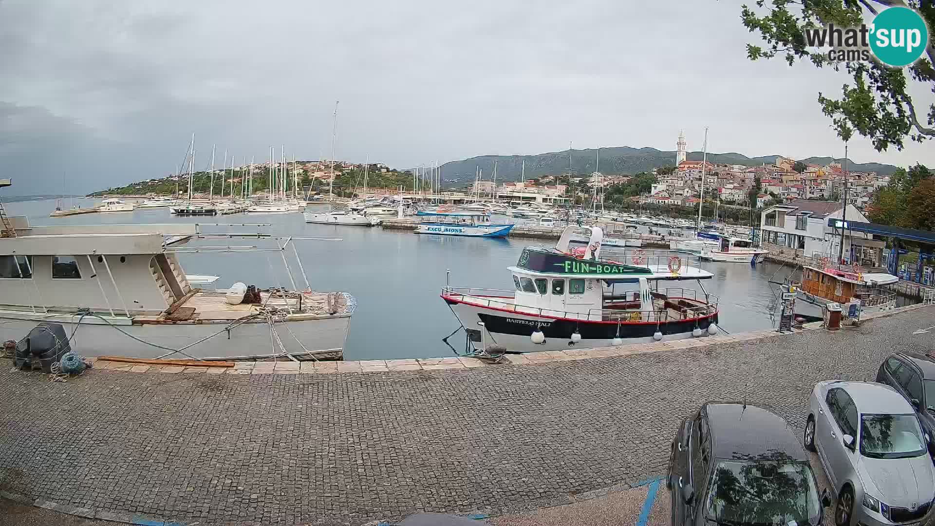 Webcam live – Novi Vinodolski harbour