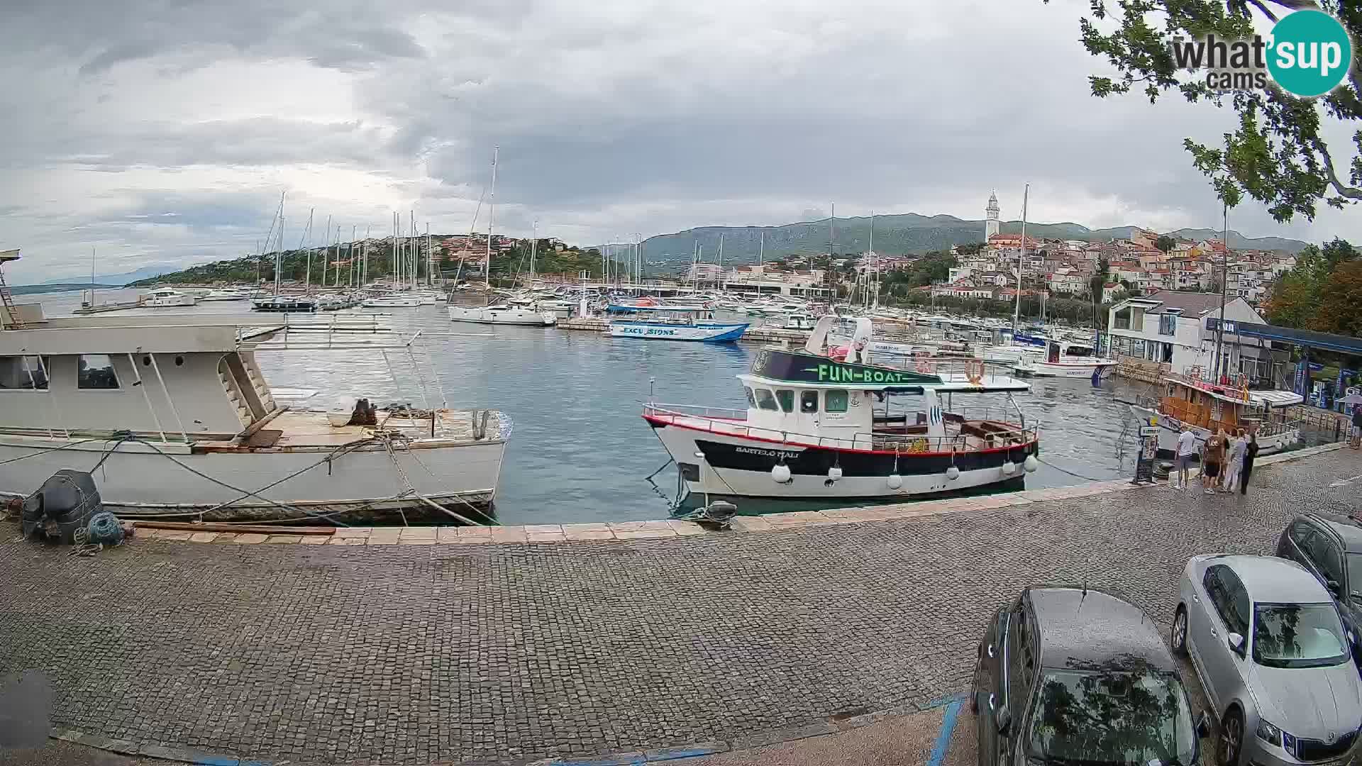 Webcam live – Novi Vinodolski harbour