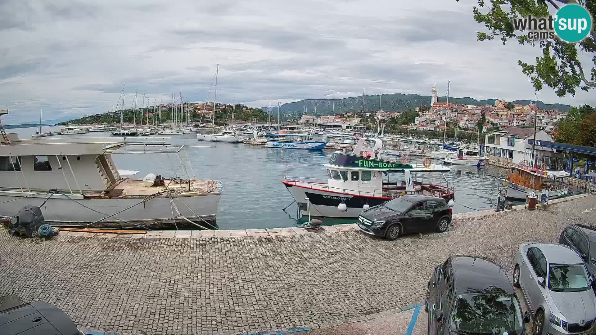 Webcam live – Novi Vinodolski harbour