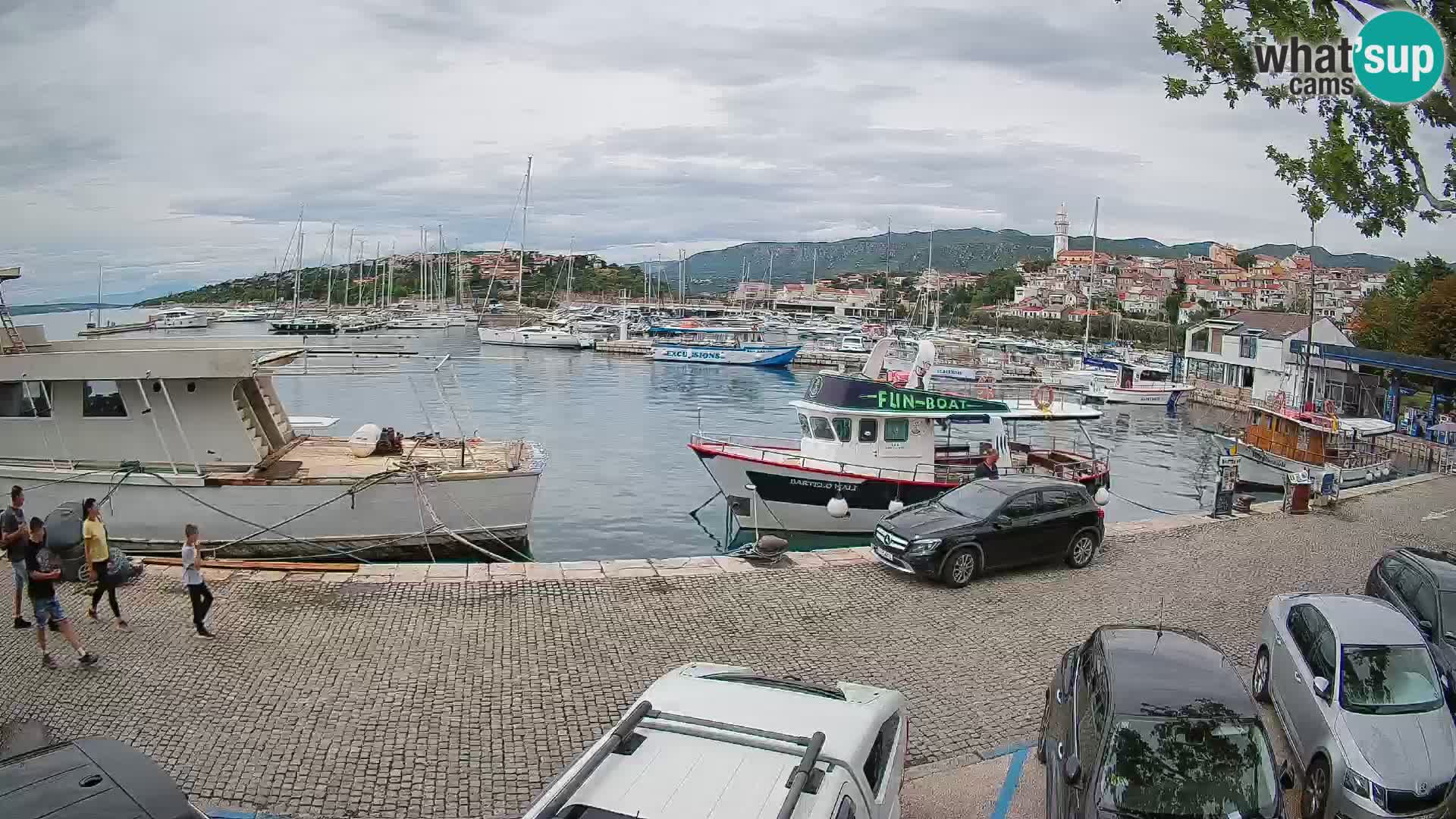 Webcam live – Novi Vinodolski harbour