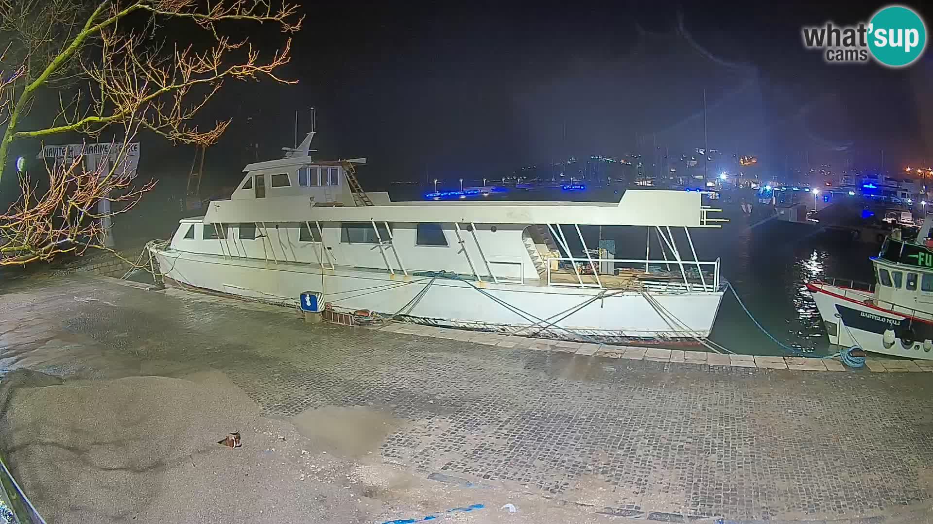 Webcam live – Novi Vinodolski harbour