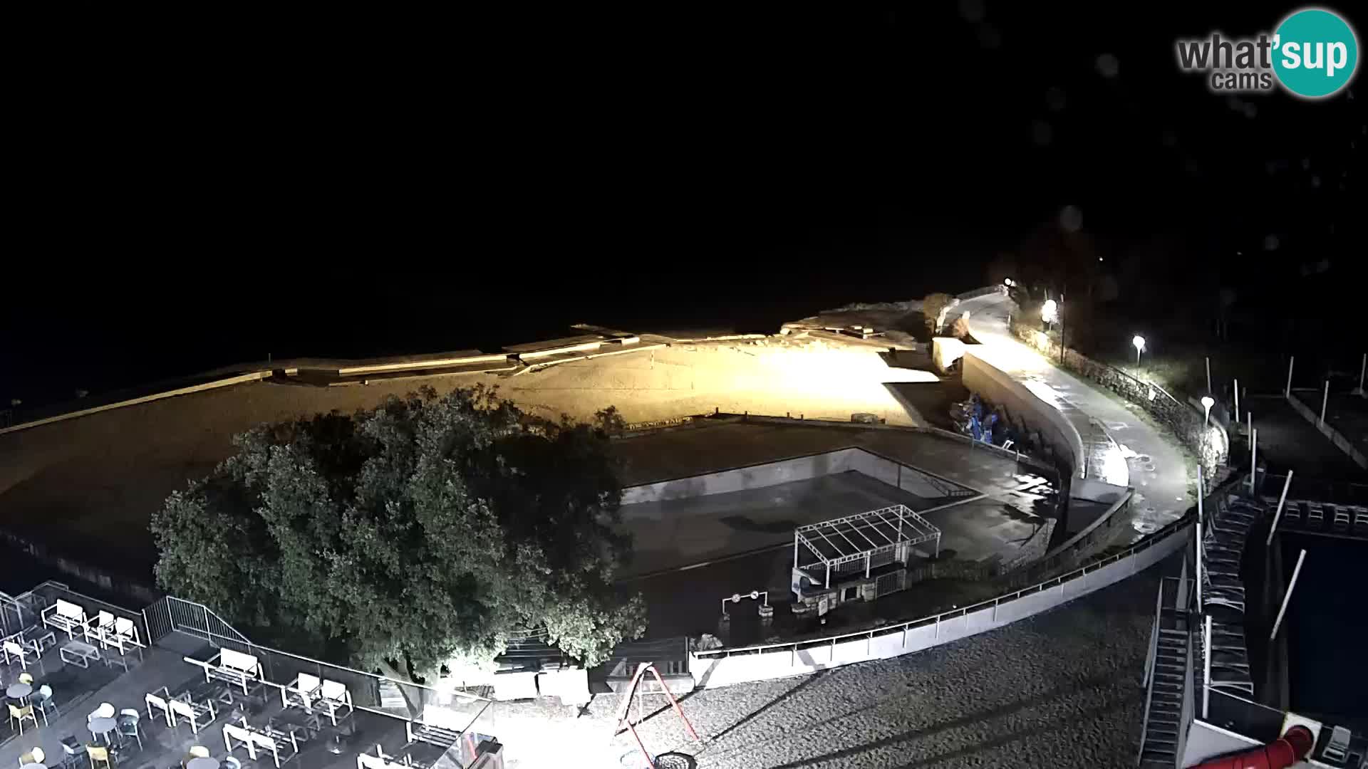 Webcam – Novi Vinodolski – spiaggia