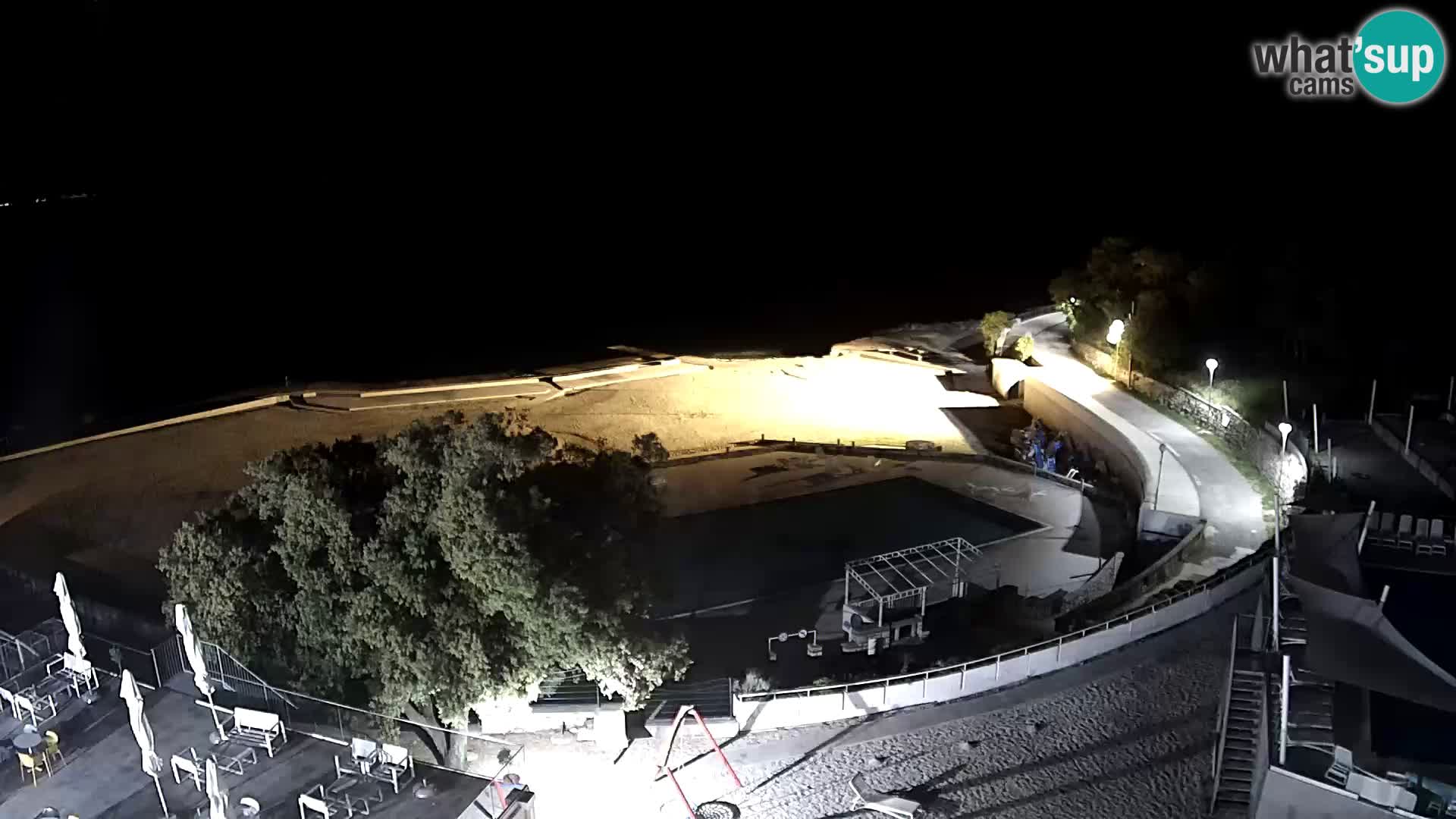 Splenta kamera – Novi Vinodolski – plaža