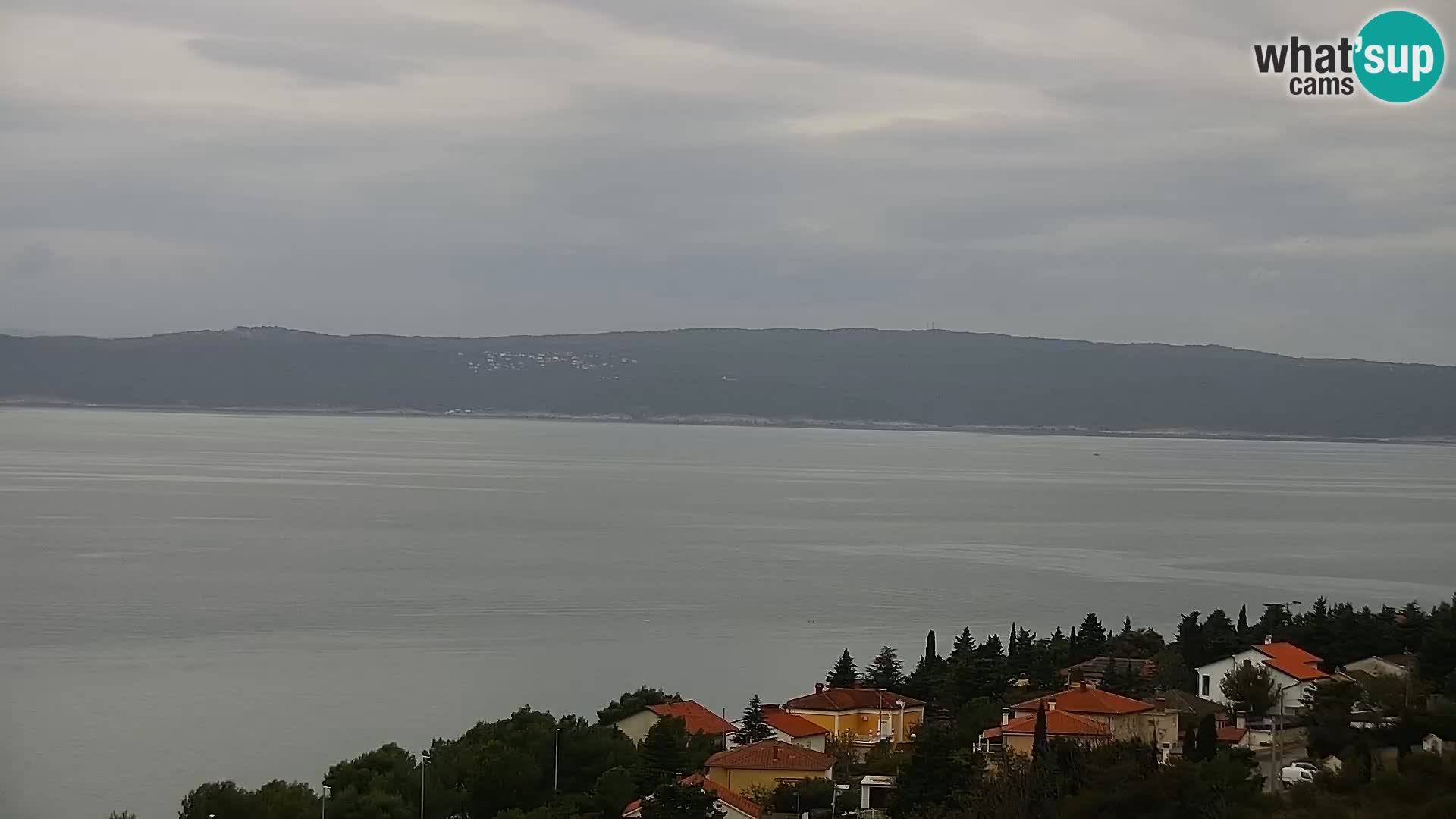 Novi Vinodolski camera en vivo Dalmatia