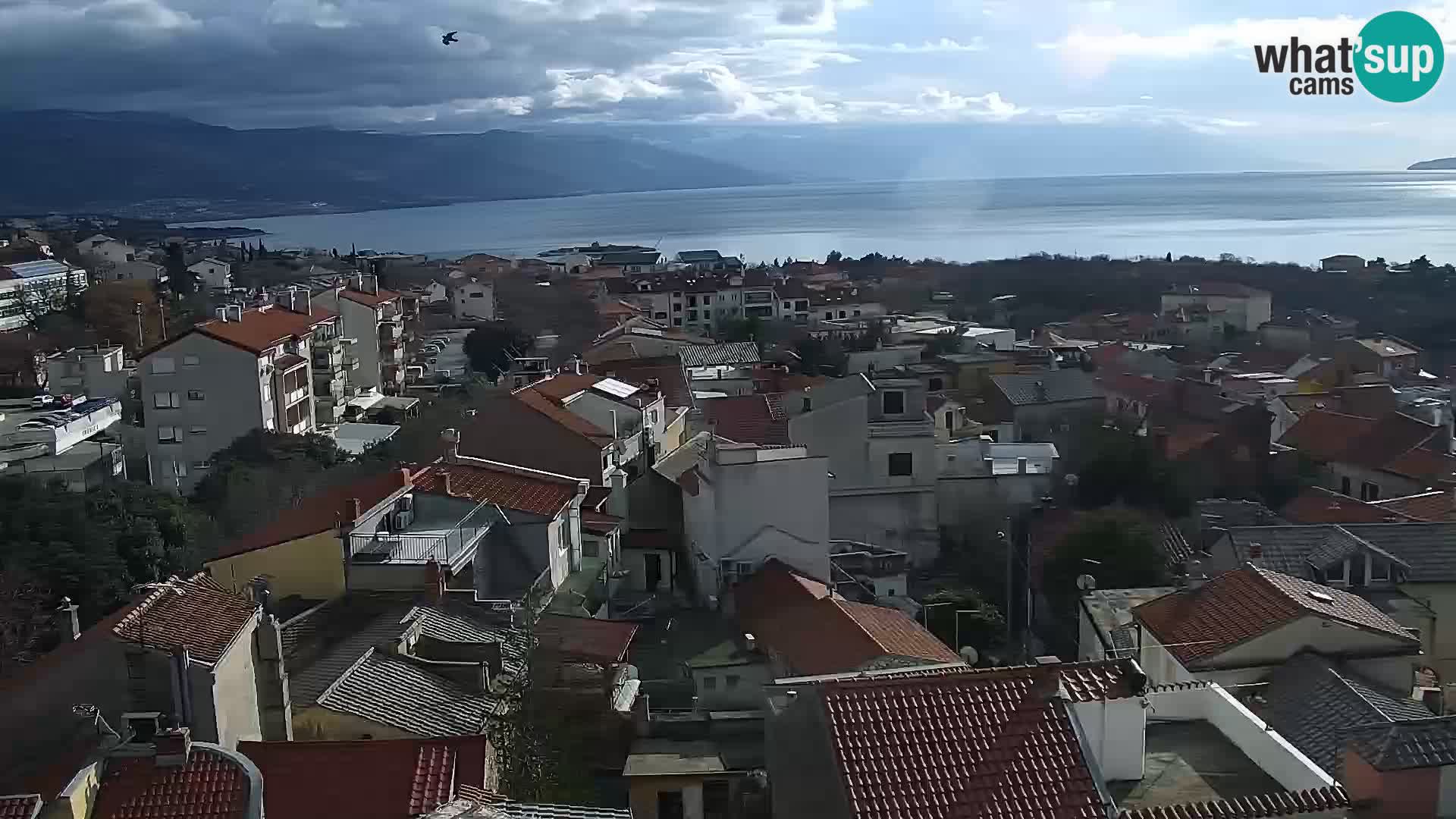 Panoramic Novi Vinodolski livecam Dalmatien