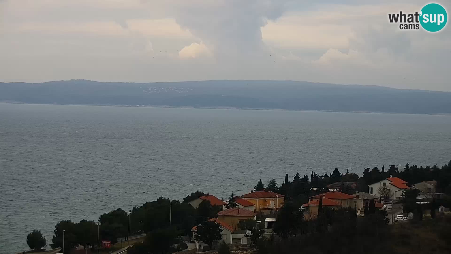 Panoramic Novi Vinodolski livecam Dalmatien