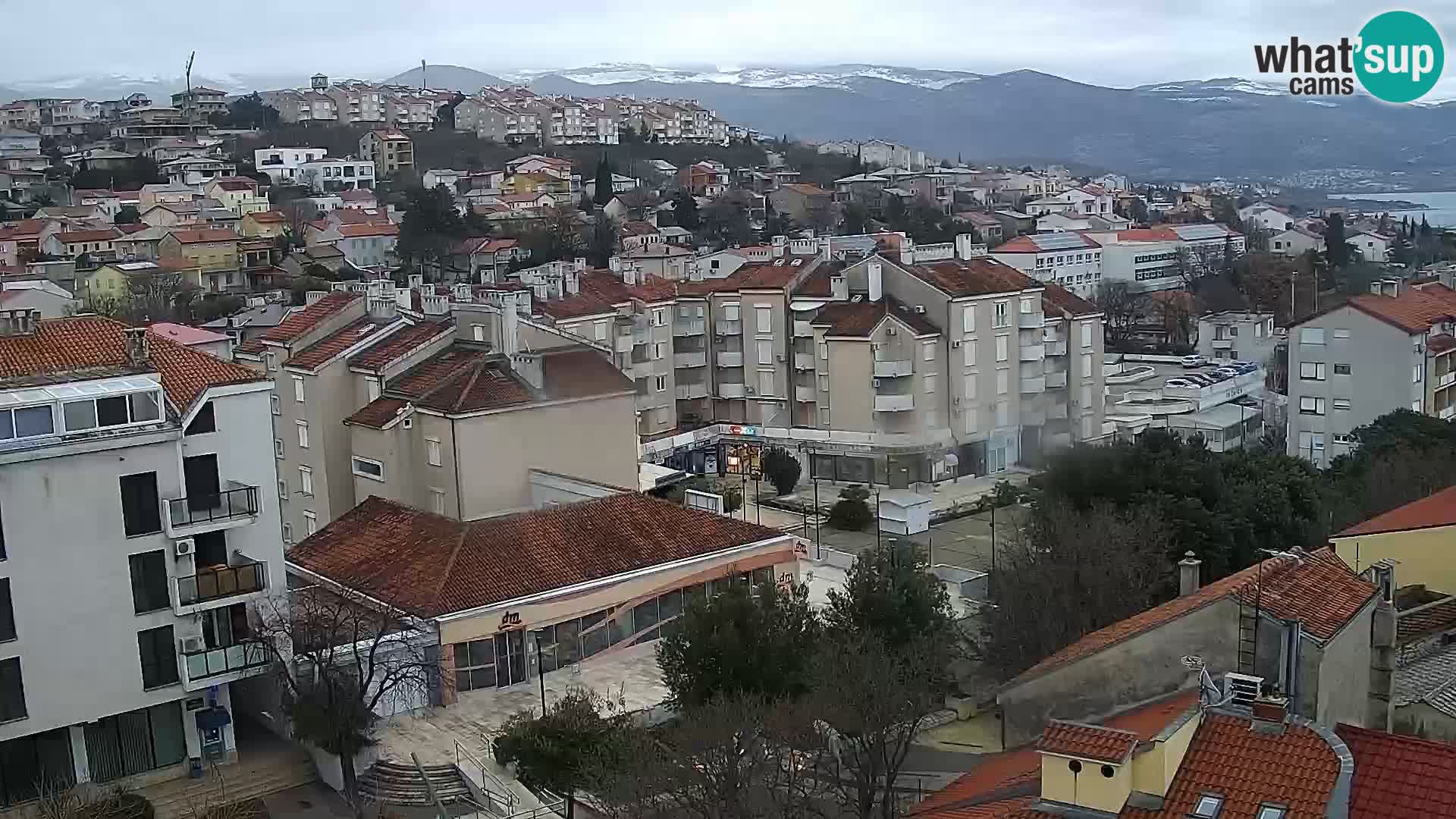 Novi Vinodolski camera en vivo Dalmatia