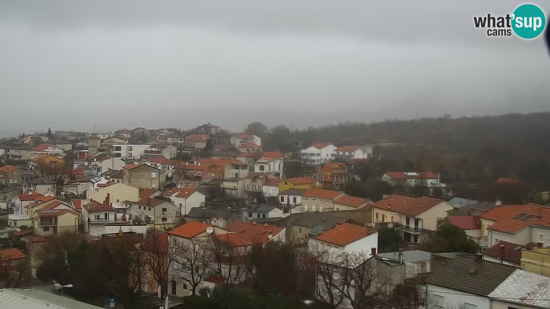 Novi Vinodolski camera en vivo Dalmatia