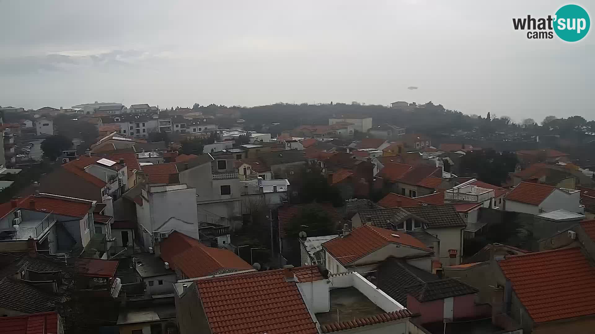 Novi Vinodolski camera en vivo Dalmatia