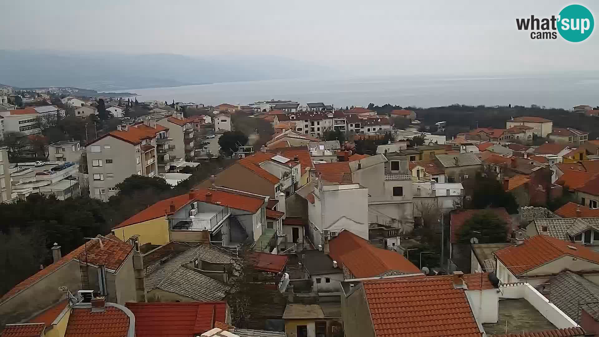 Novi Vinodolski camera en vivo Dalmatia