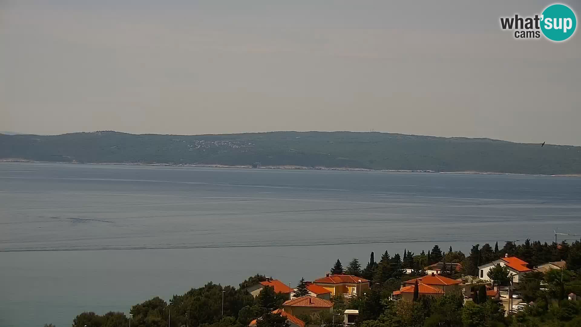 Panoramic webcam Novi Vinodolski – Dalmatia live