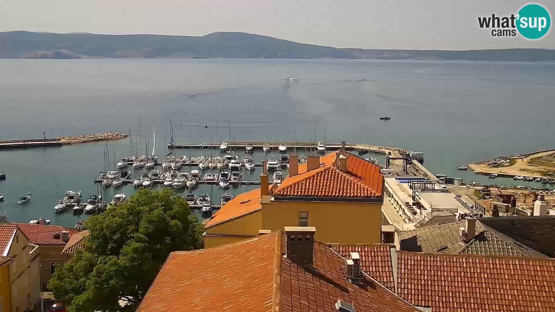 Panorama Novi Vinodolski live cam Dalmatie