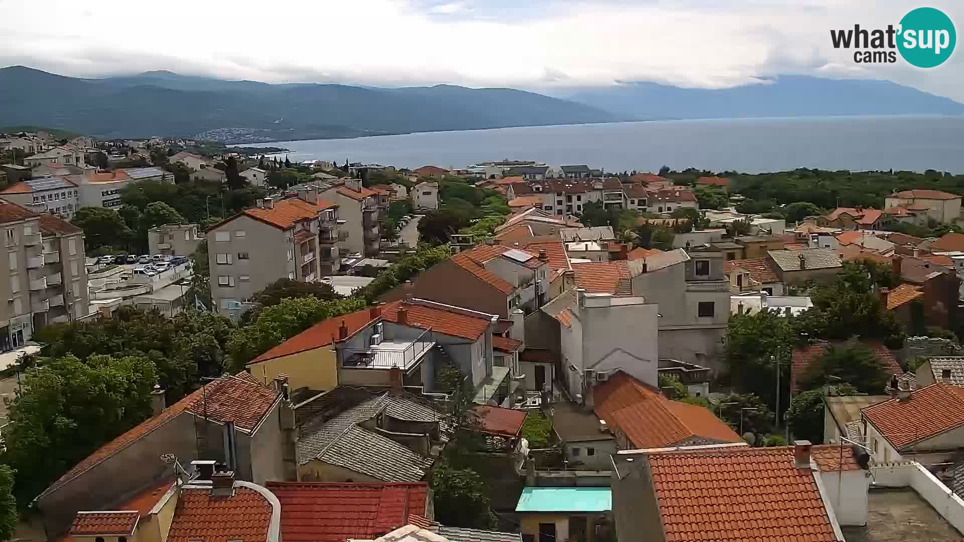 Novi Vinodolski camera en vivo Dalmatia
