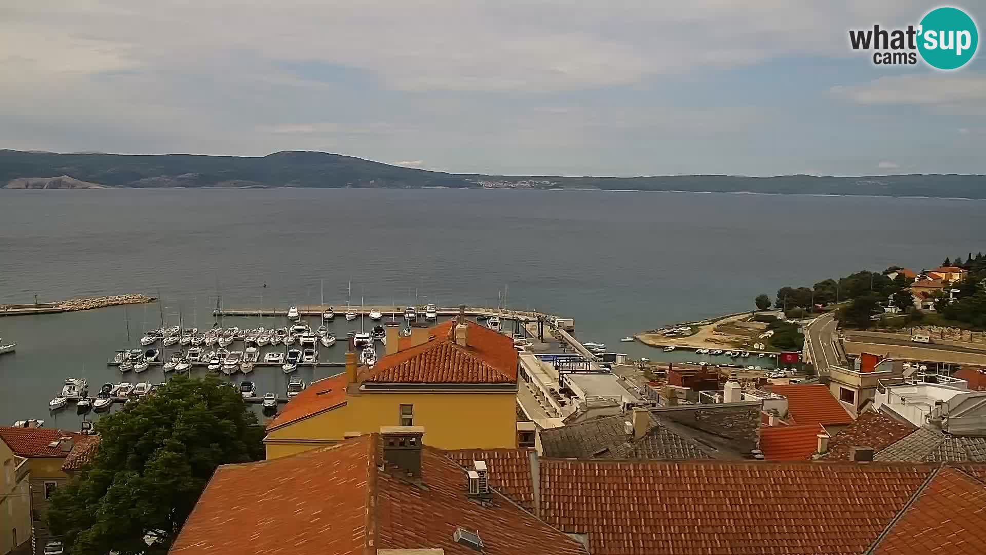 Novi Vinodolski camera en vivo Dalmatia