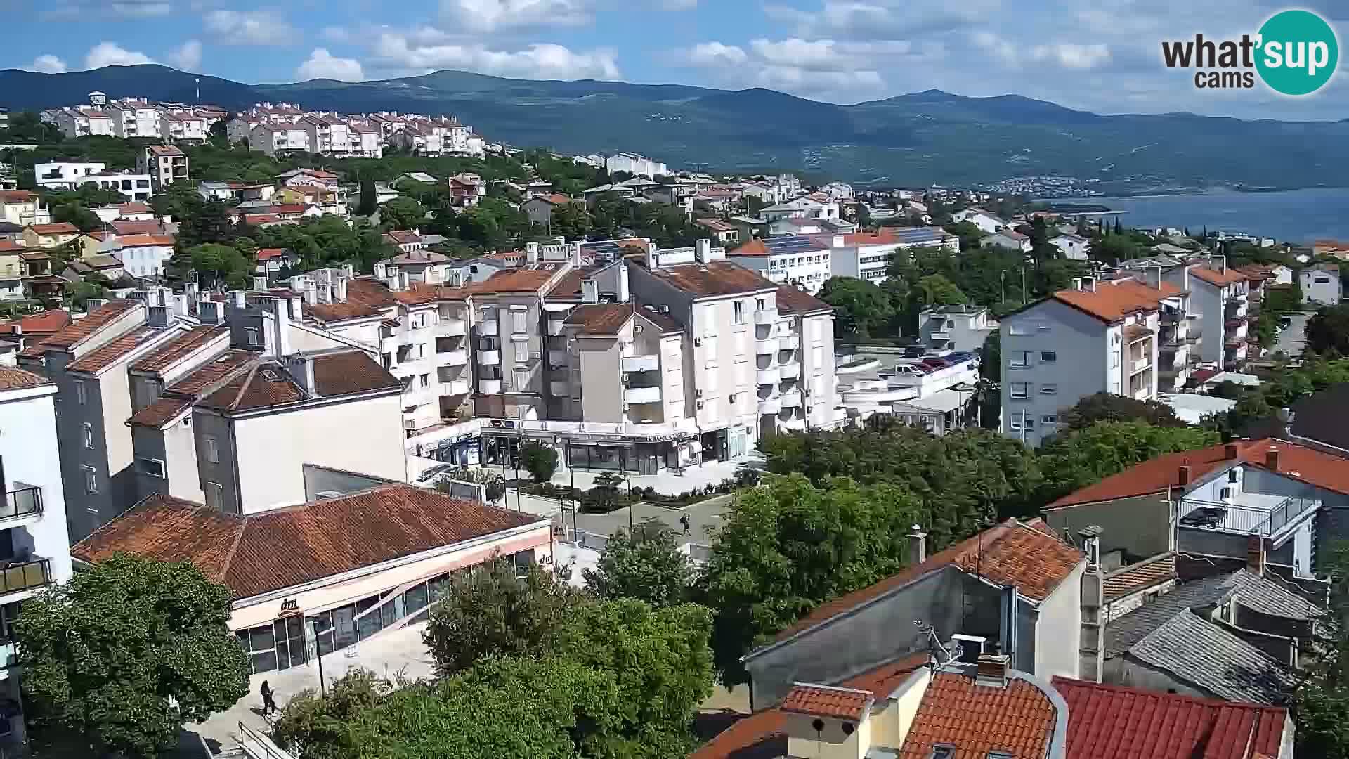 Novi Vinodolski camera en vivo Dalmatia