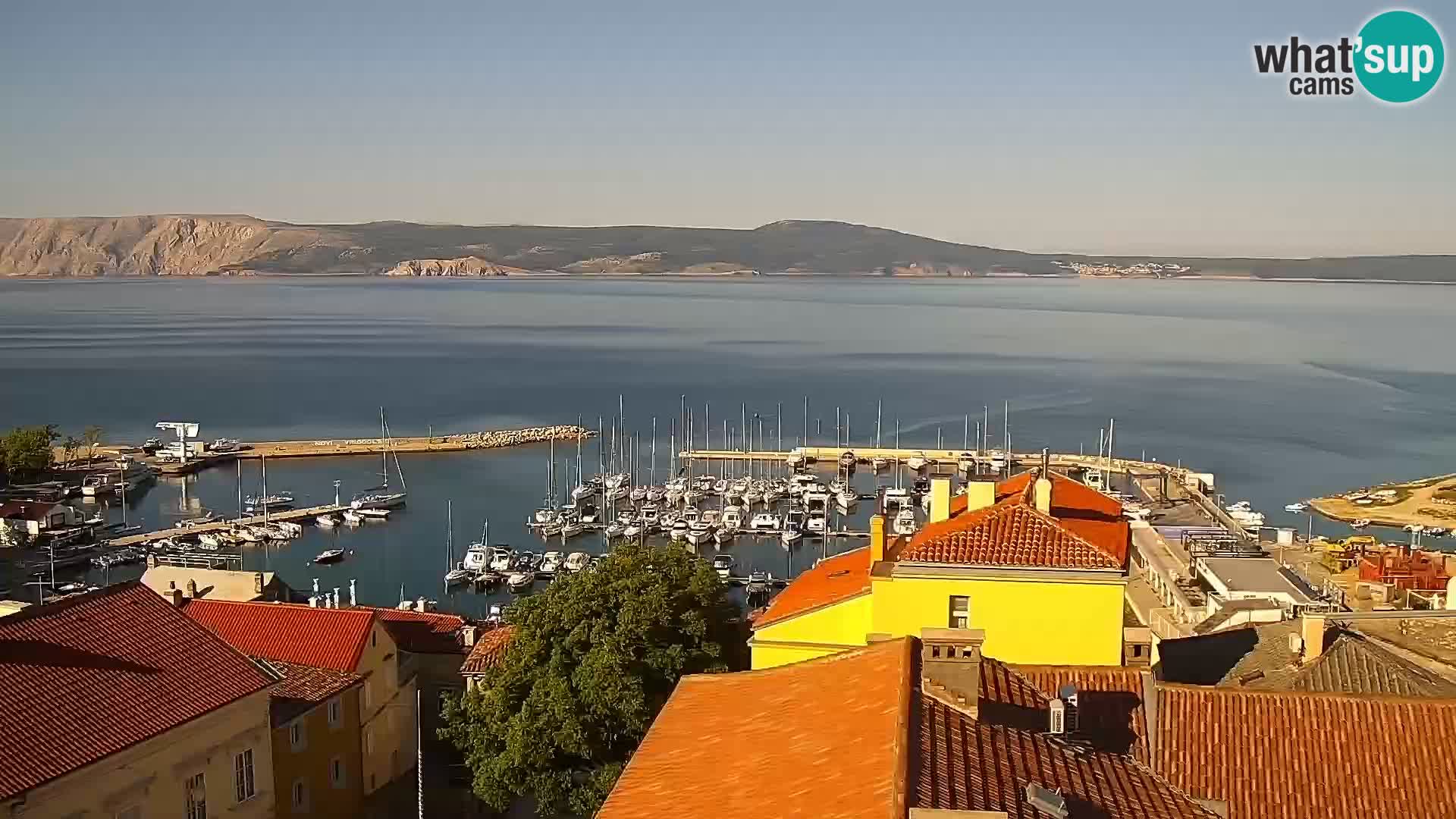 Novi Vinodolski camera en vivo Dalmatia