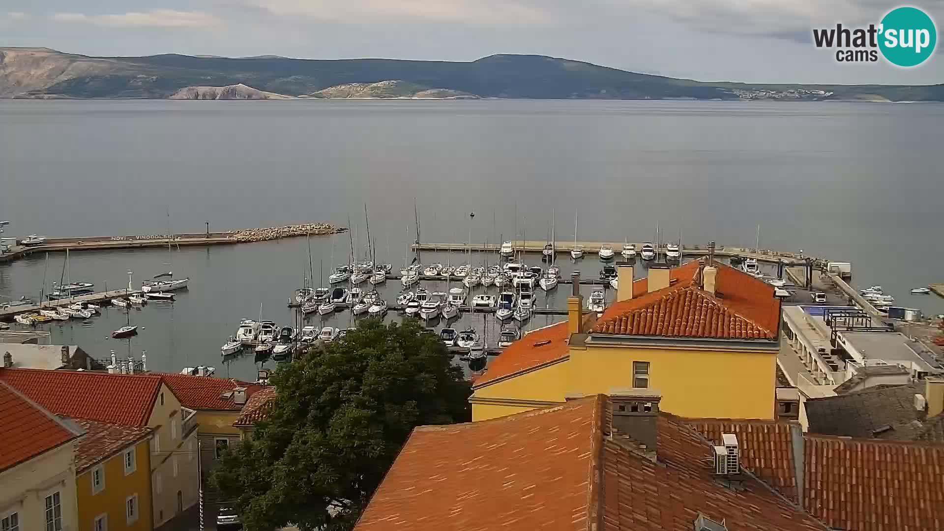 Novi Vinodolski camera en vivo Dalmatia