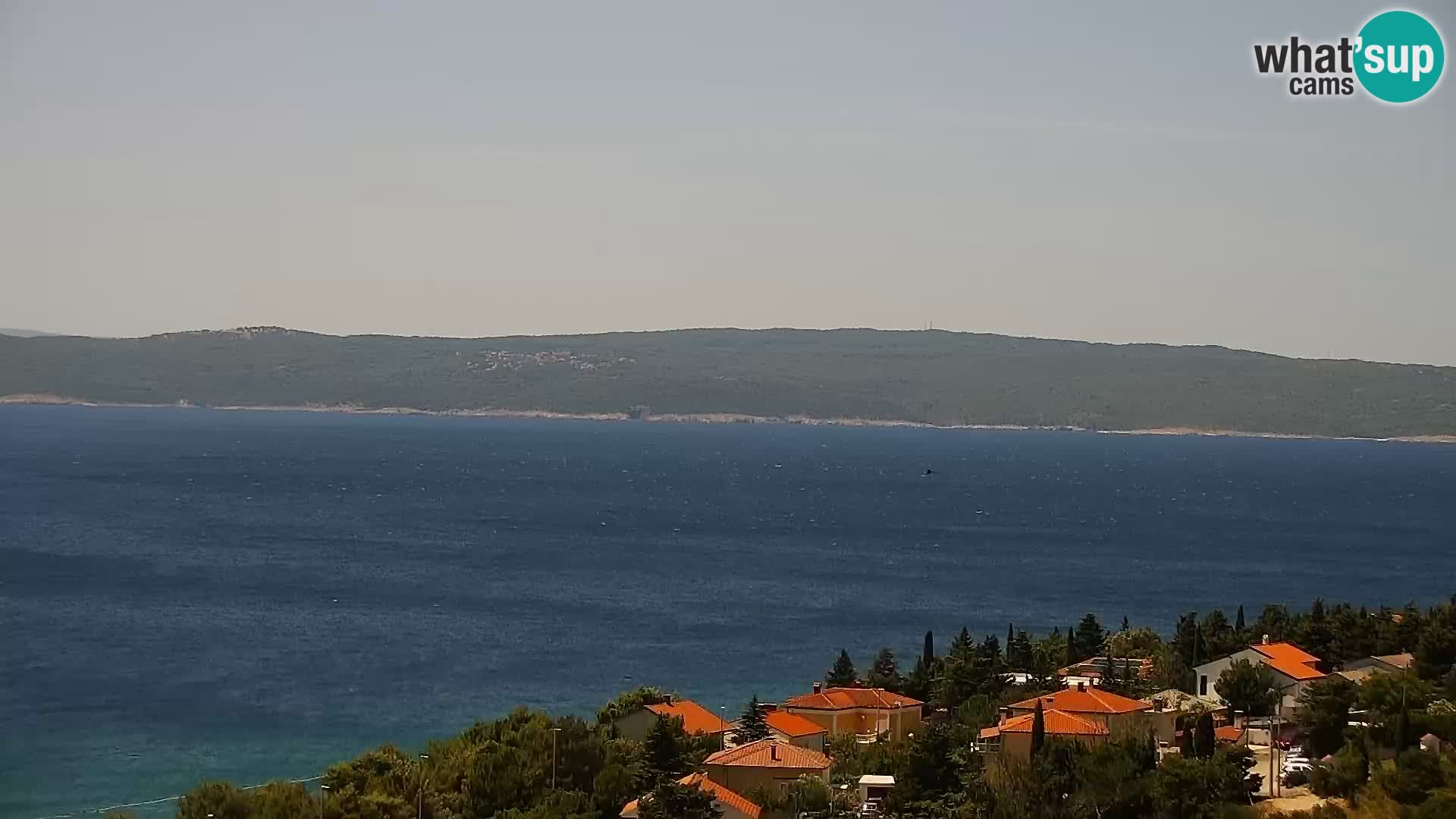 Novi Vinodolski camera en vivo Dalmatia