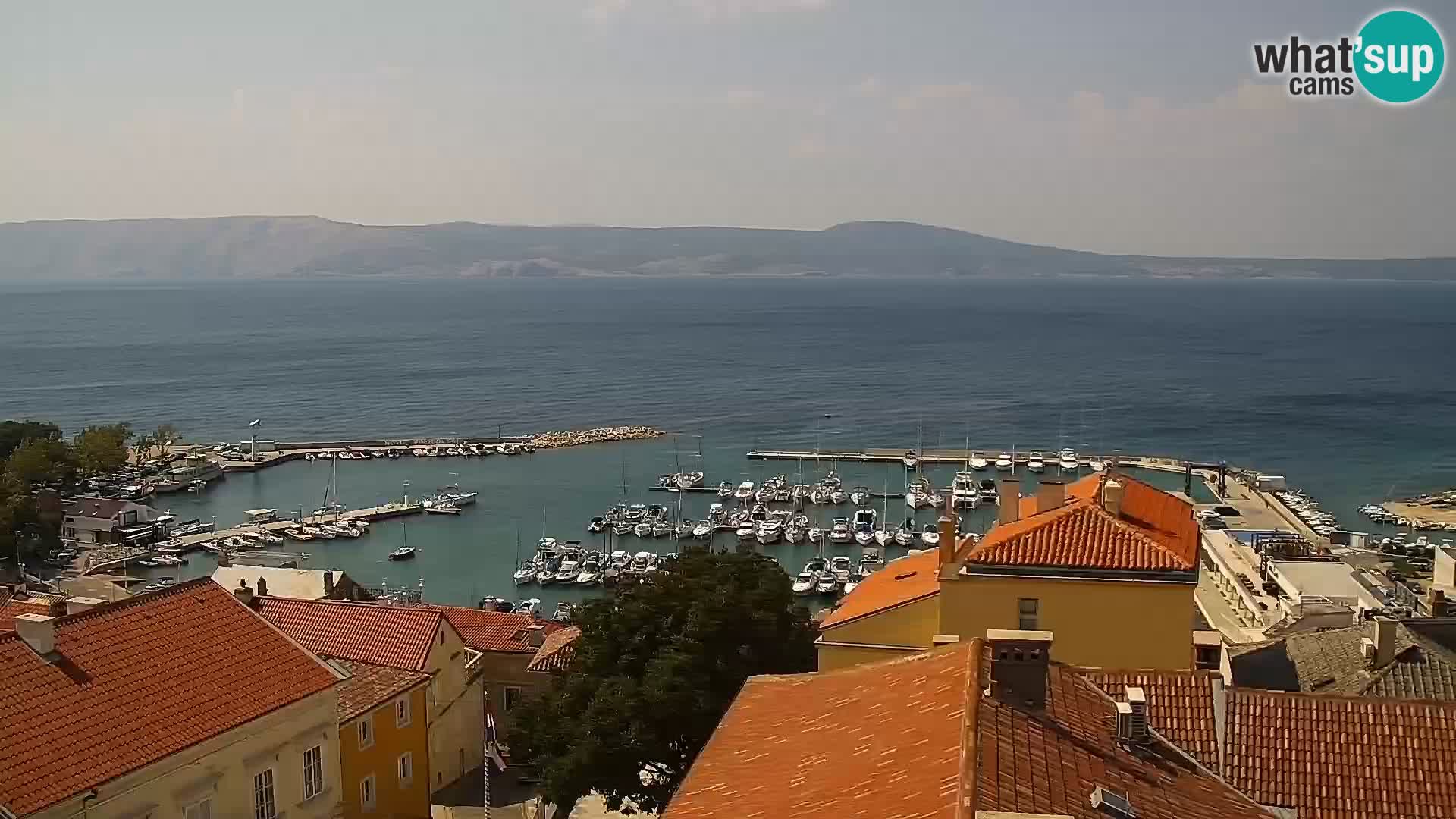 Novi Vinodolski camera en vivo Dalmatia
