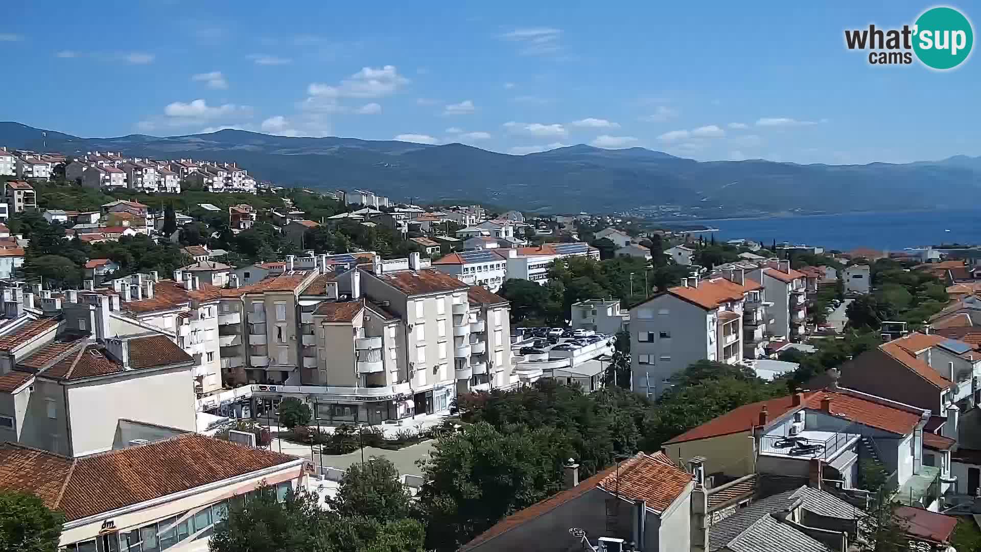 Novi Vinodolski camera en vivo Dalmatia