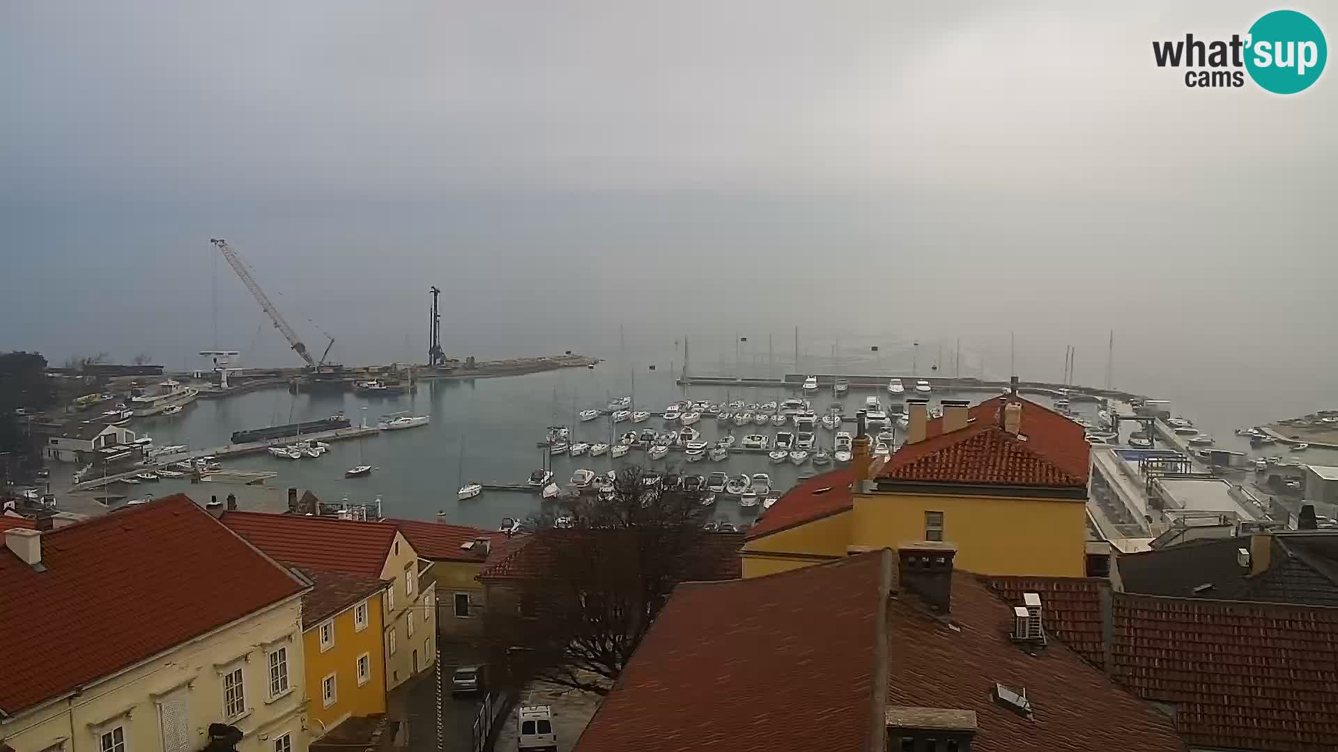 Novi Vinodolski camera en vivo Dalmatia