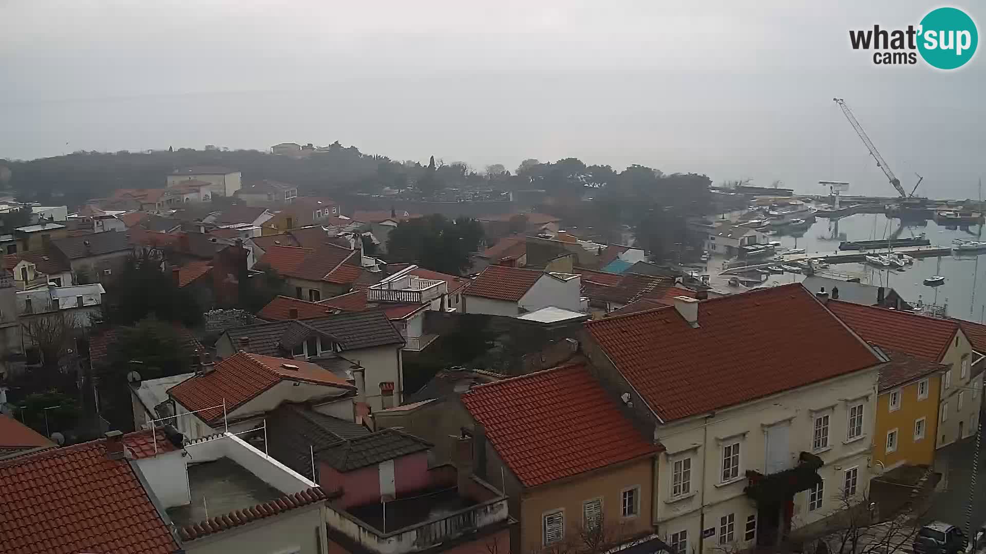 Novi Vinodolski camera en vivo Dalmatia