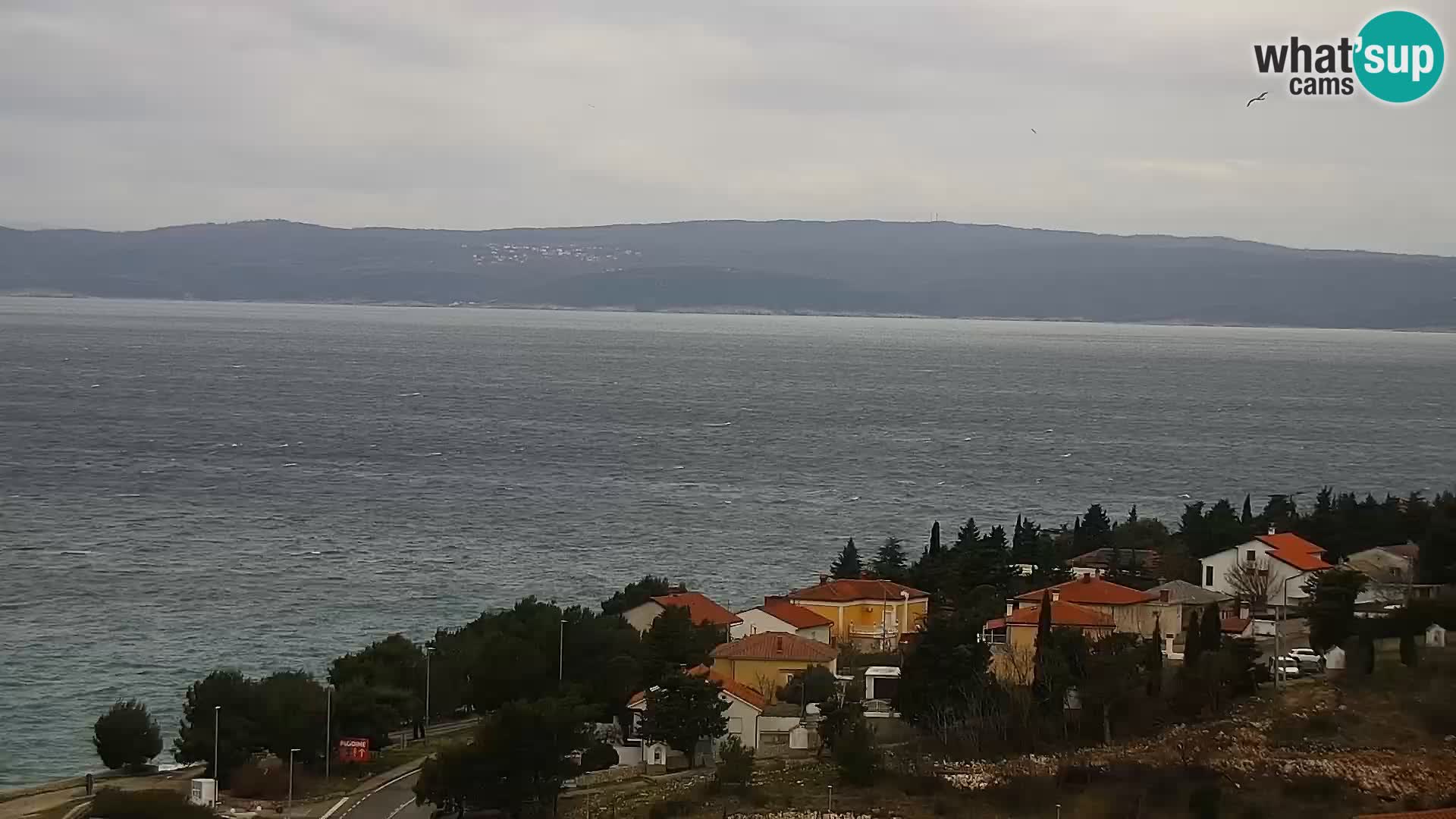 Webcam panoramica Novi Vinodolski – Dalmazia livecam