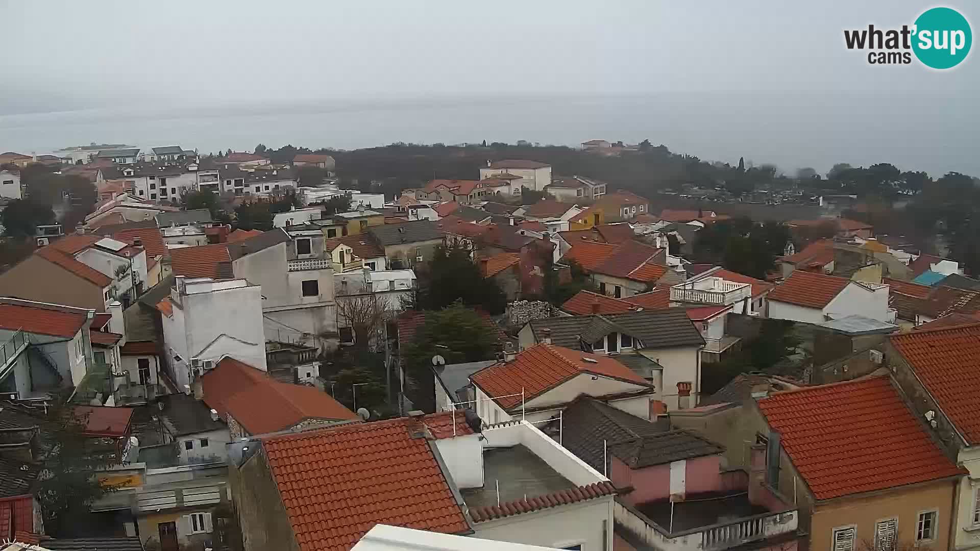 Novi Vinodolski camera en vivo Dalmatia