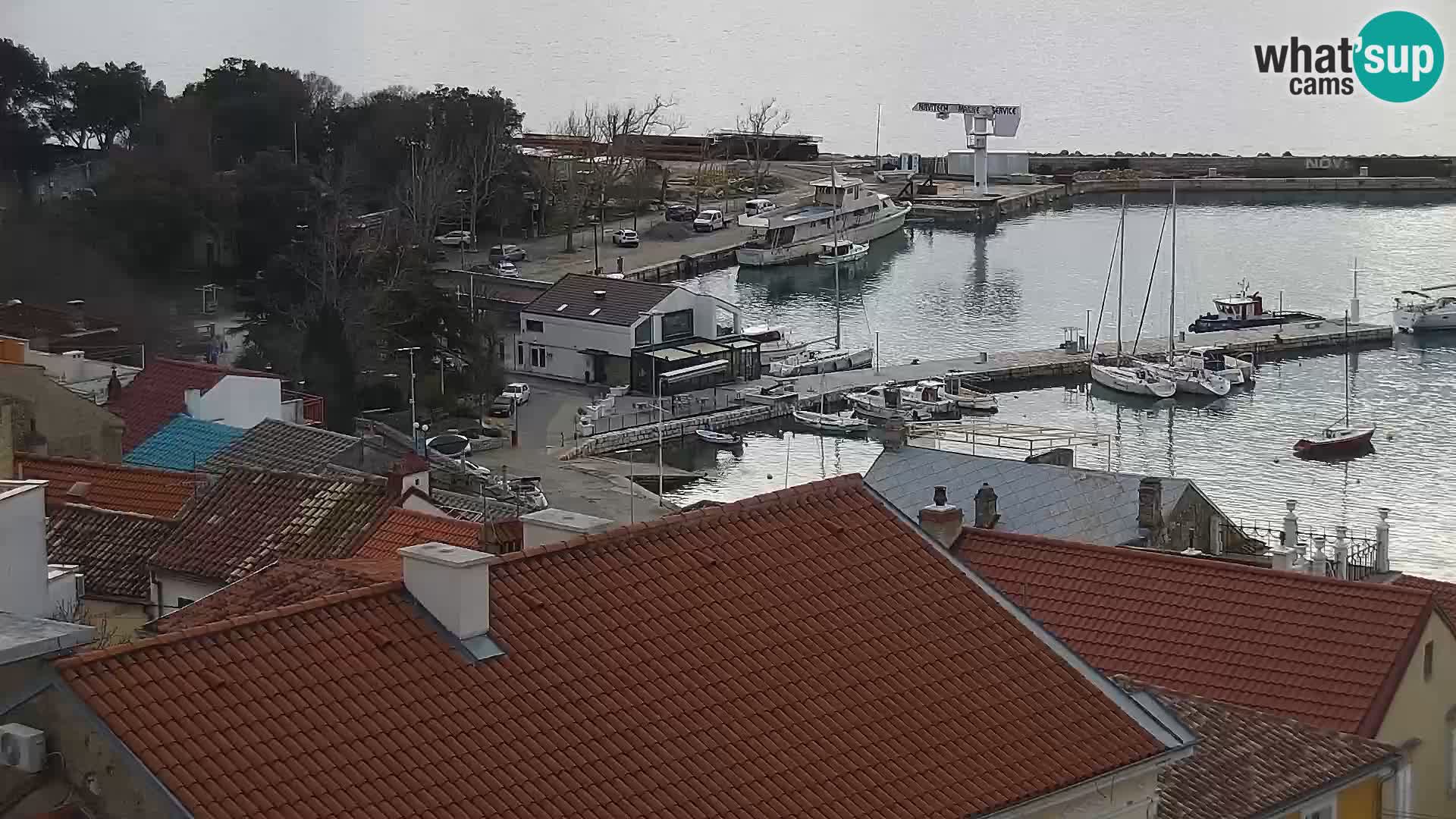 Novi Vinodolski camera en vivo Dalmatia