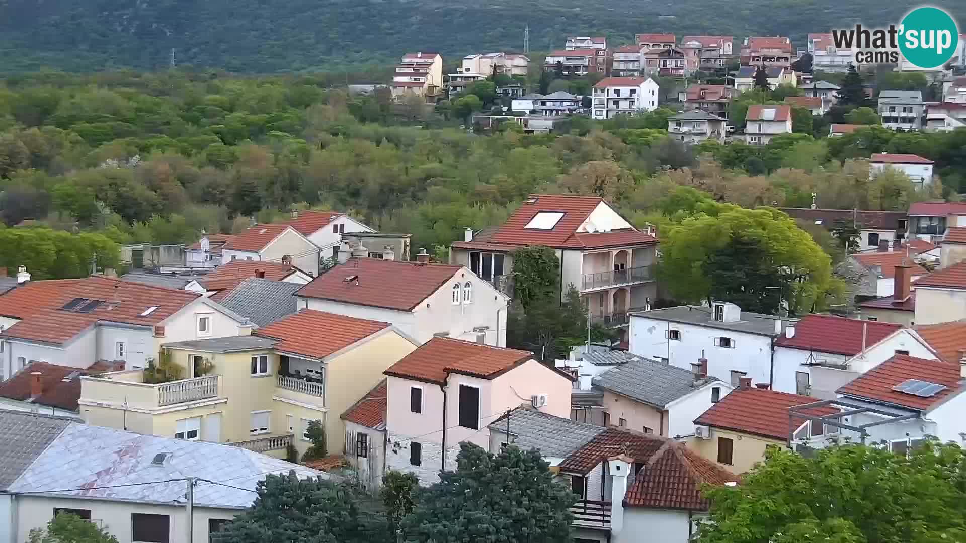 Novi Vinodolski camera en vivo Dalmatia