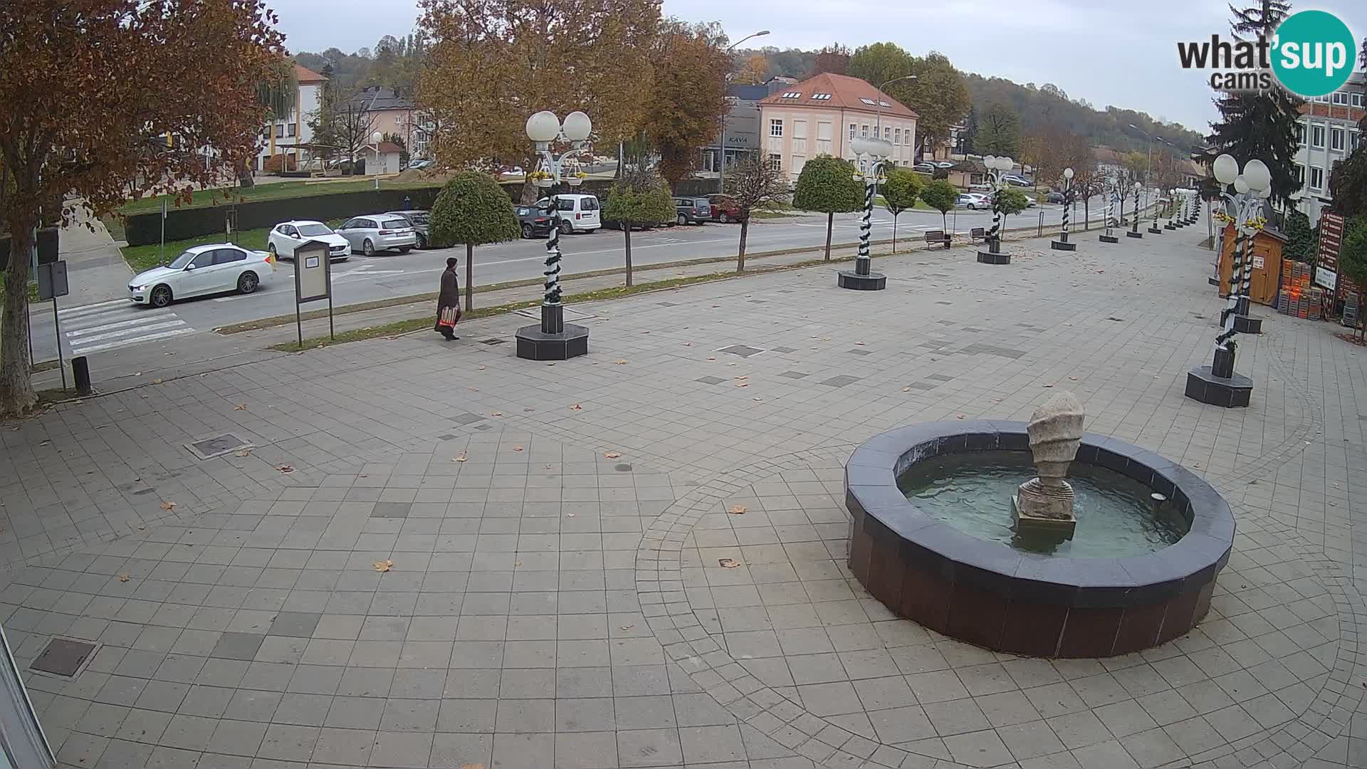 Live webcam Grad Novska